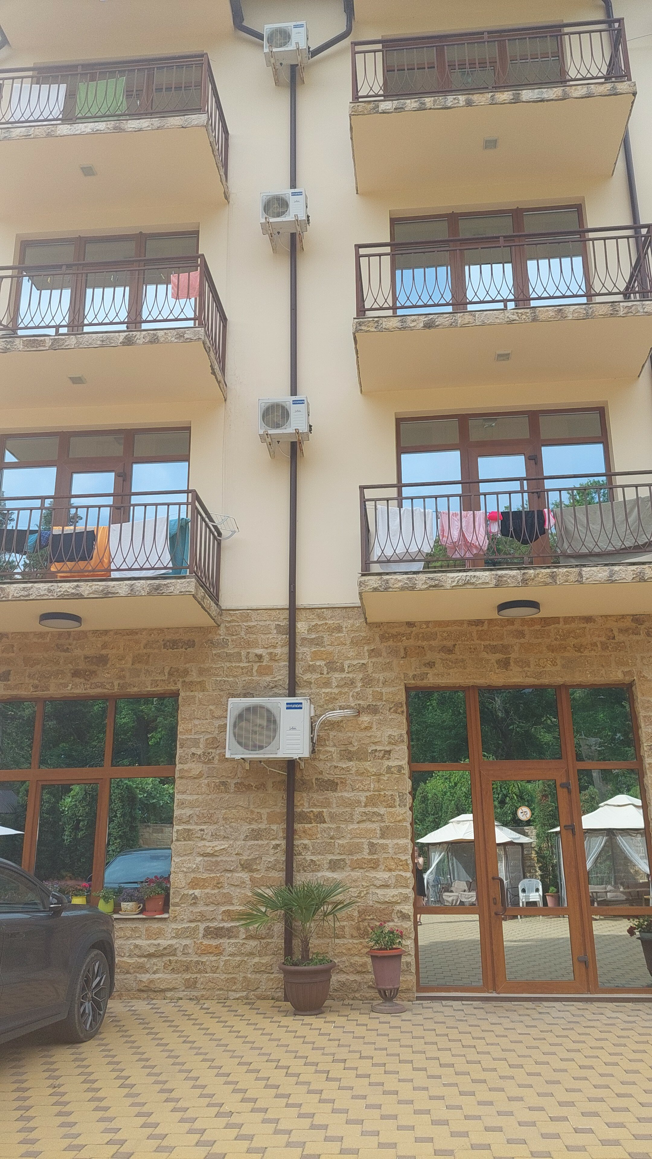 Фото Звезда