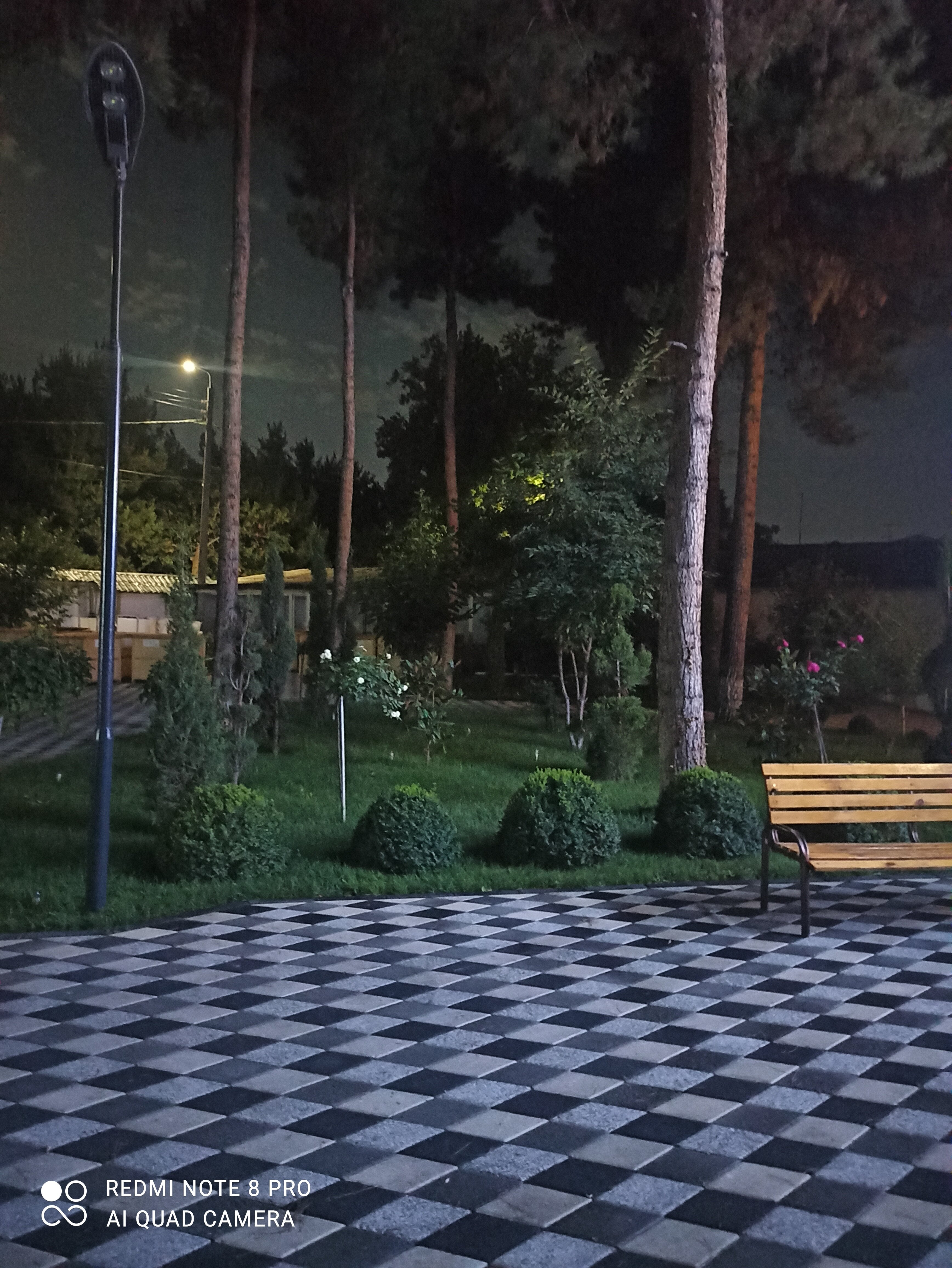 Фото Dsf Garden Hotel