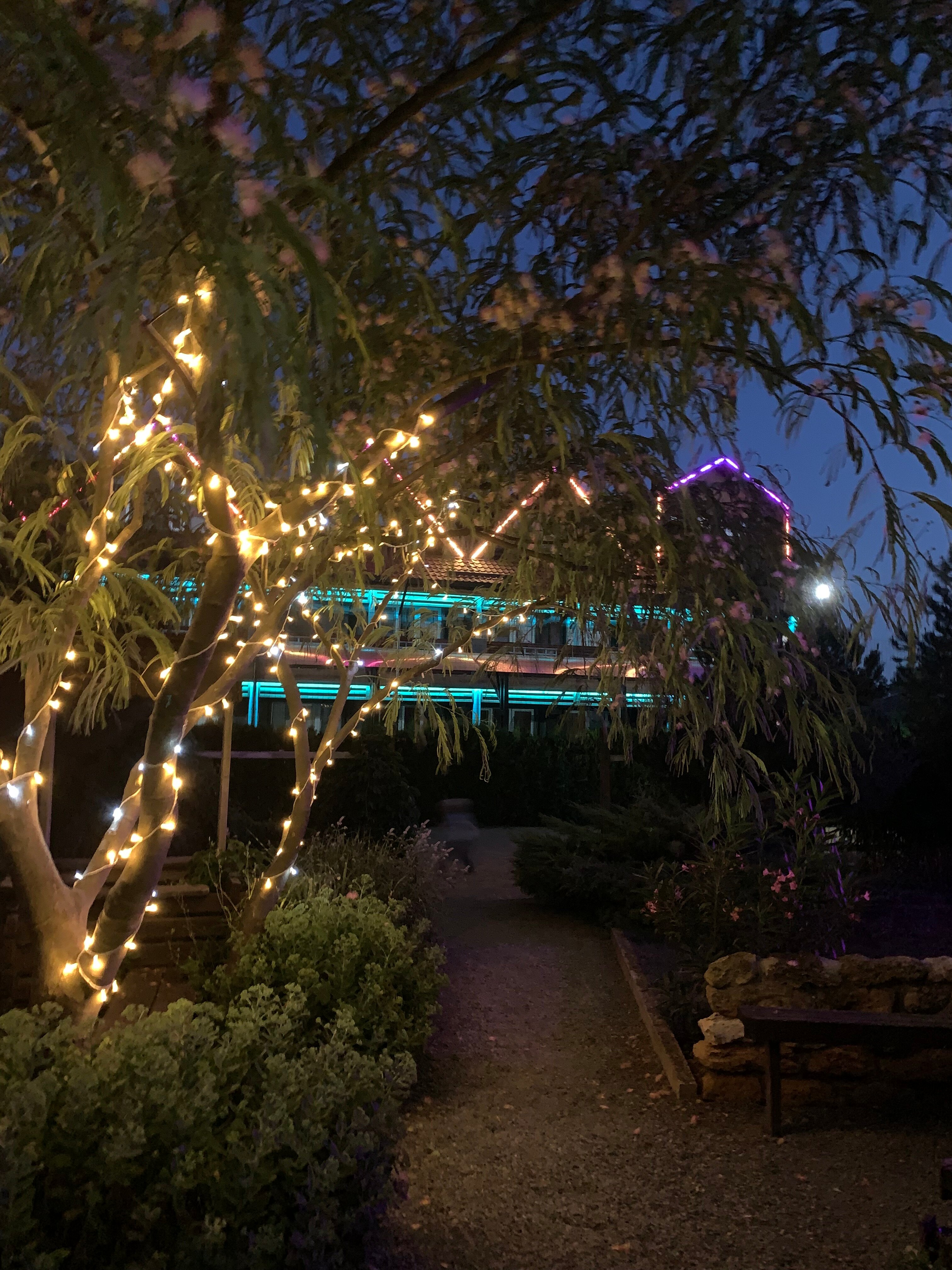 Фото Беляус