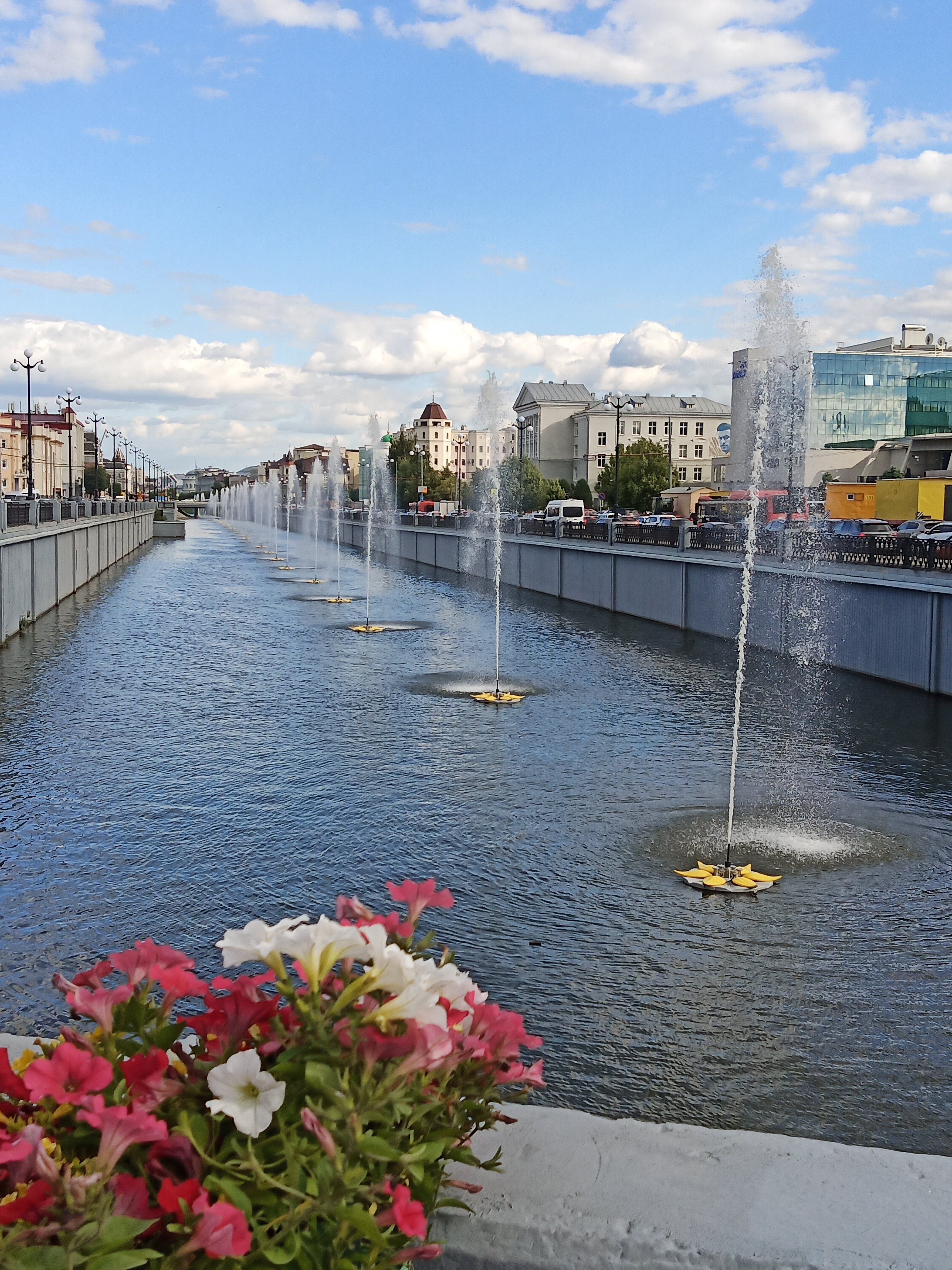 Фото Азалия на Московской