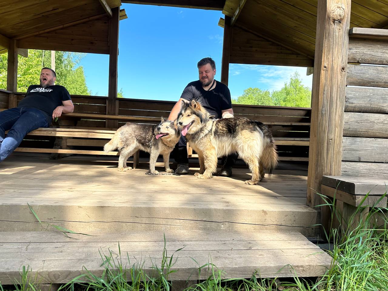 Фото Хозяин леса