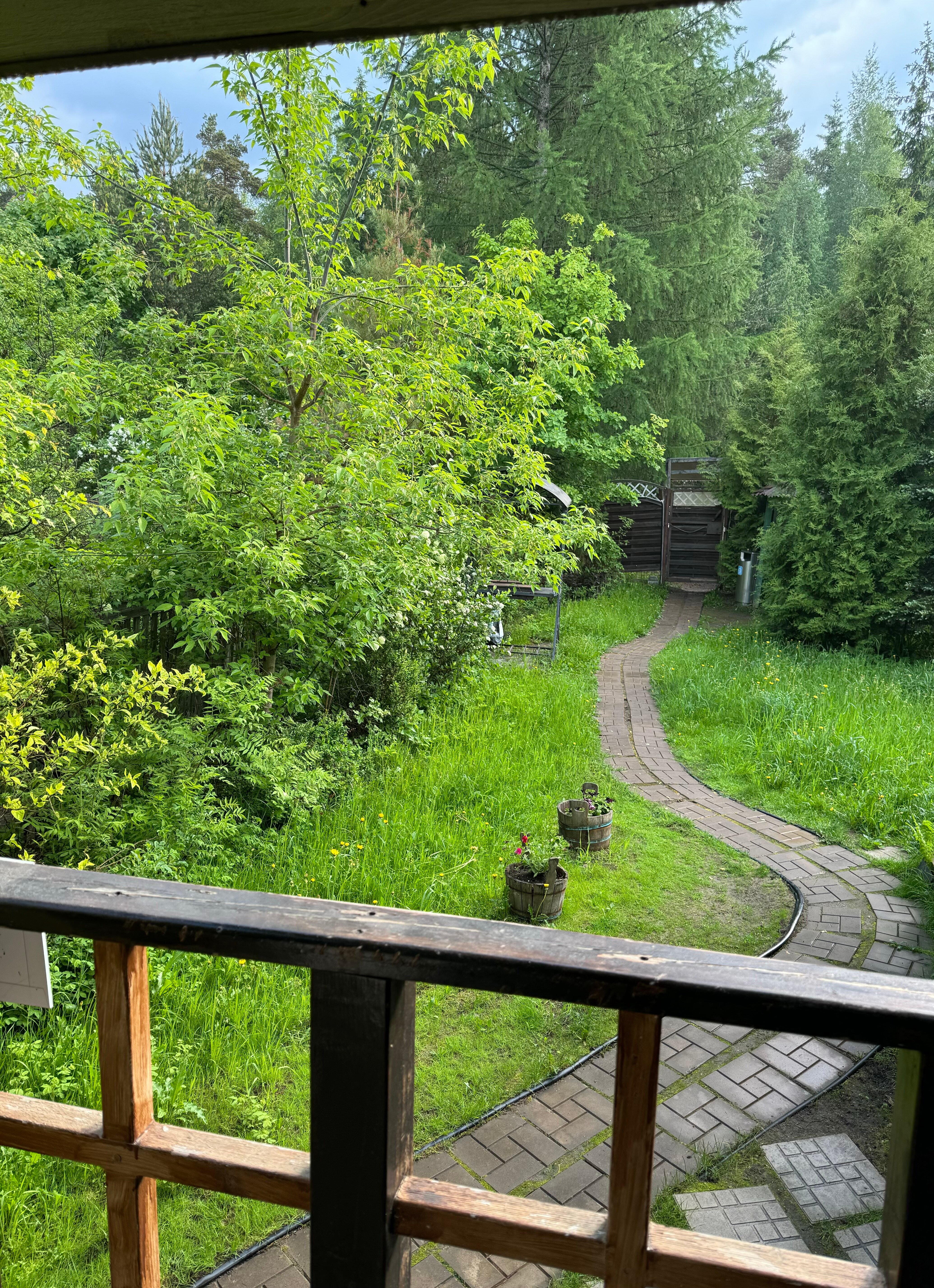 Фото Викинг