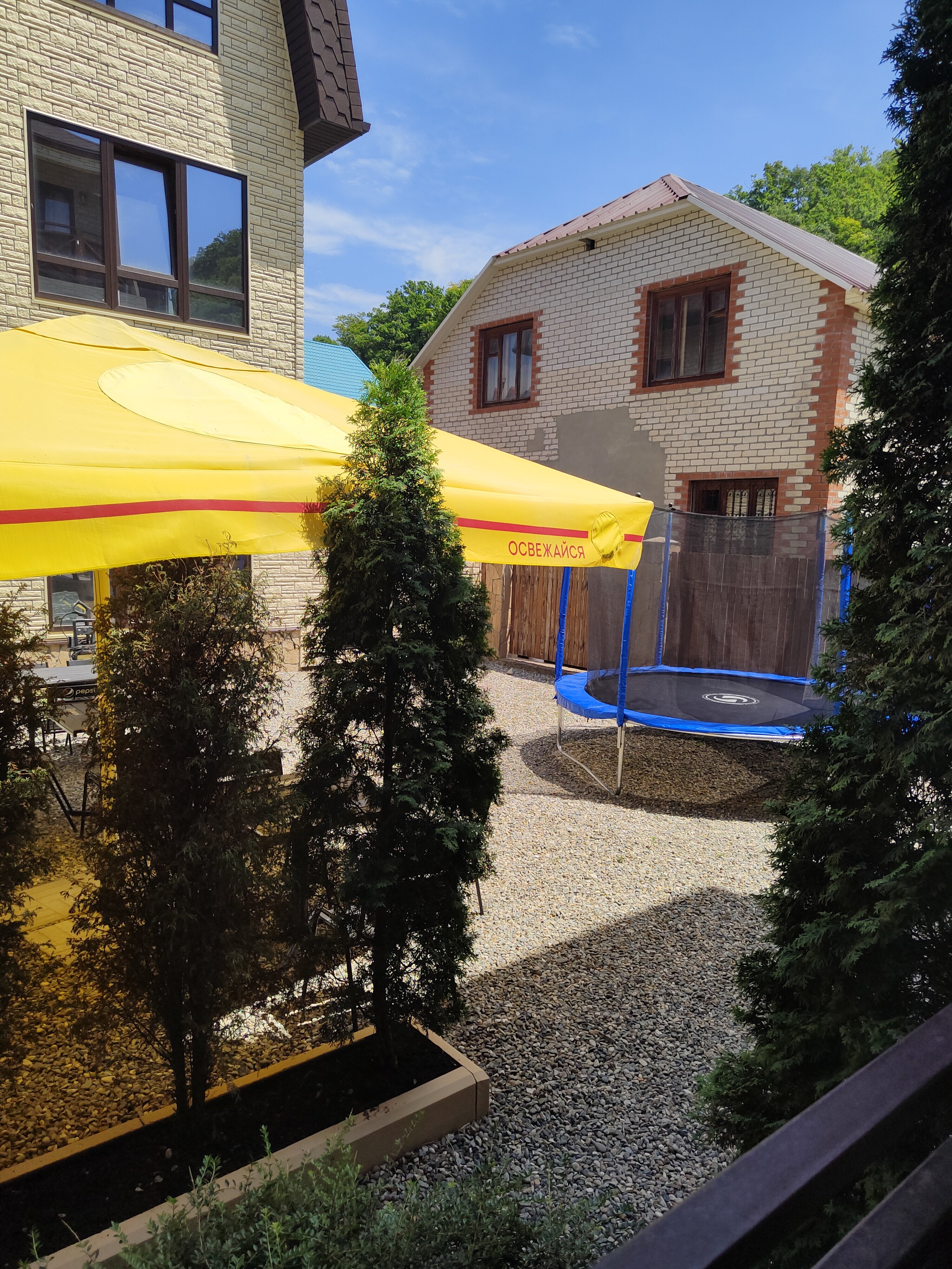 Фото Стефания