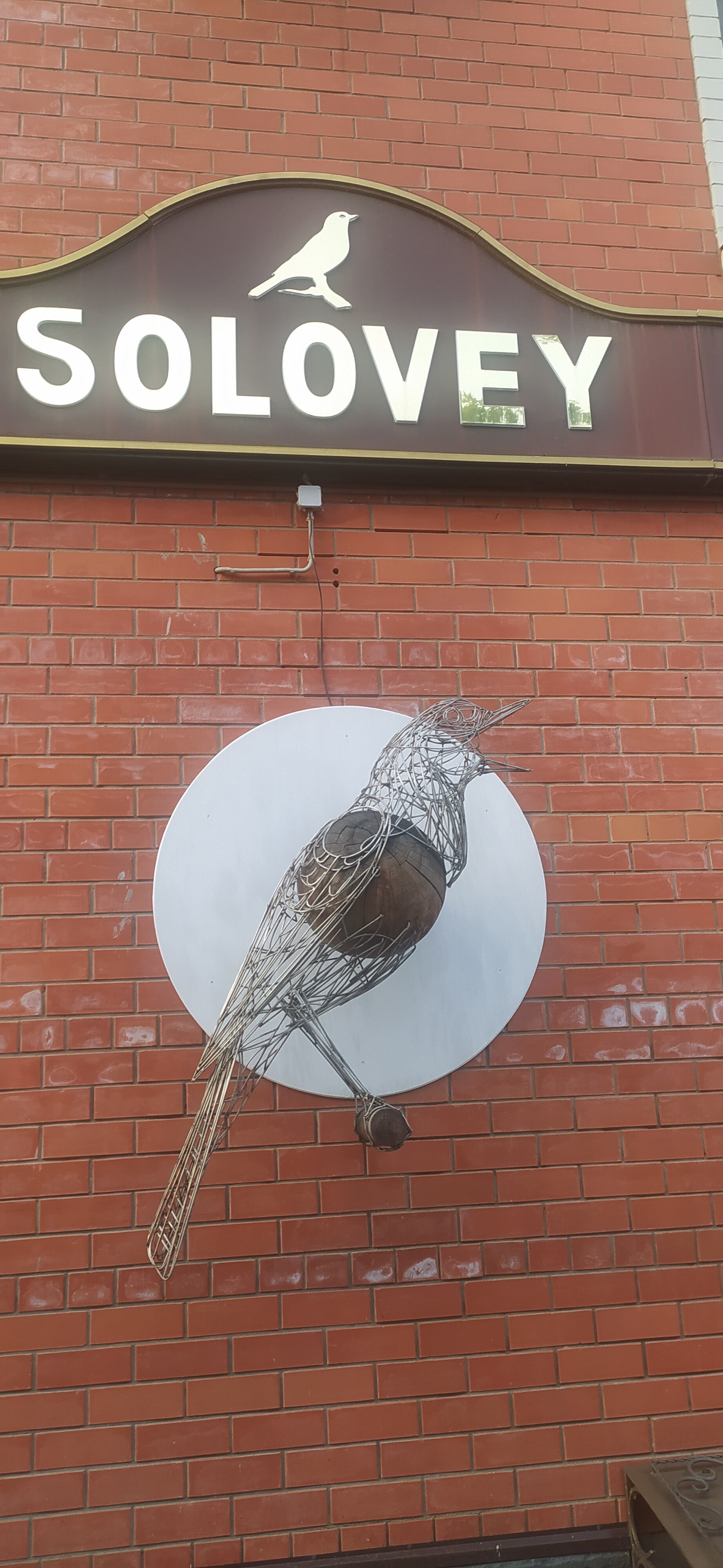 Фото Соловей