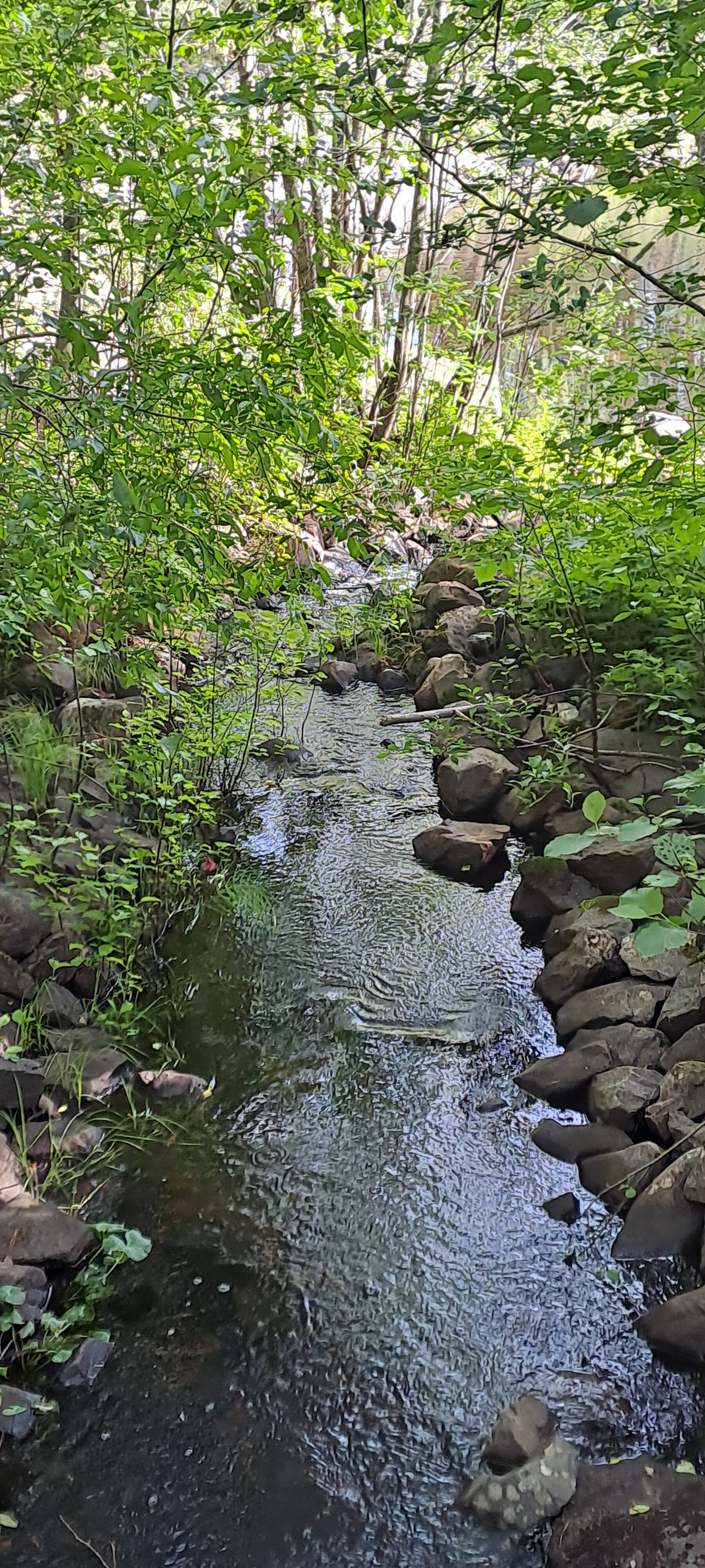 Фото Усадьба Гирвас