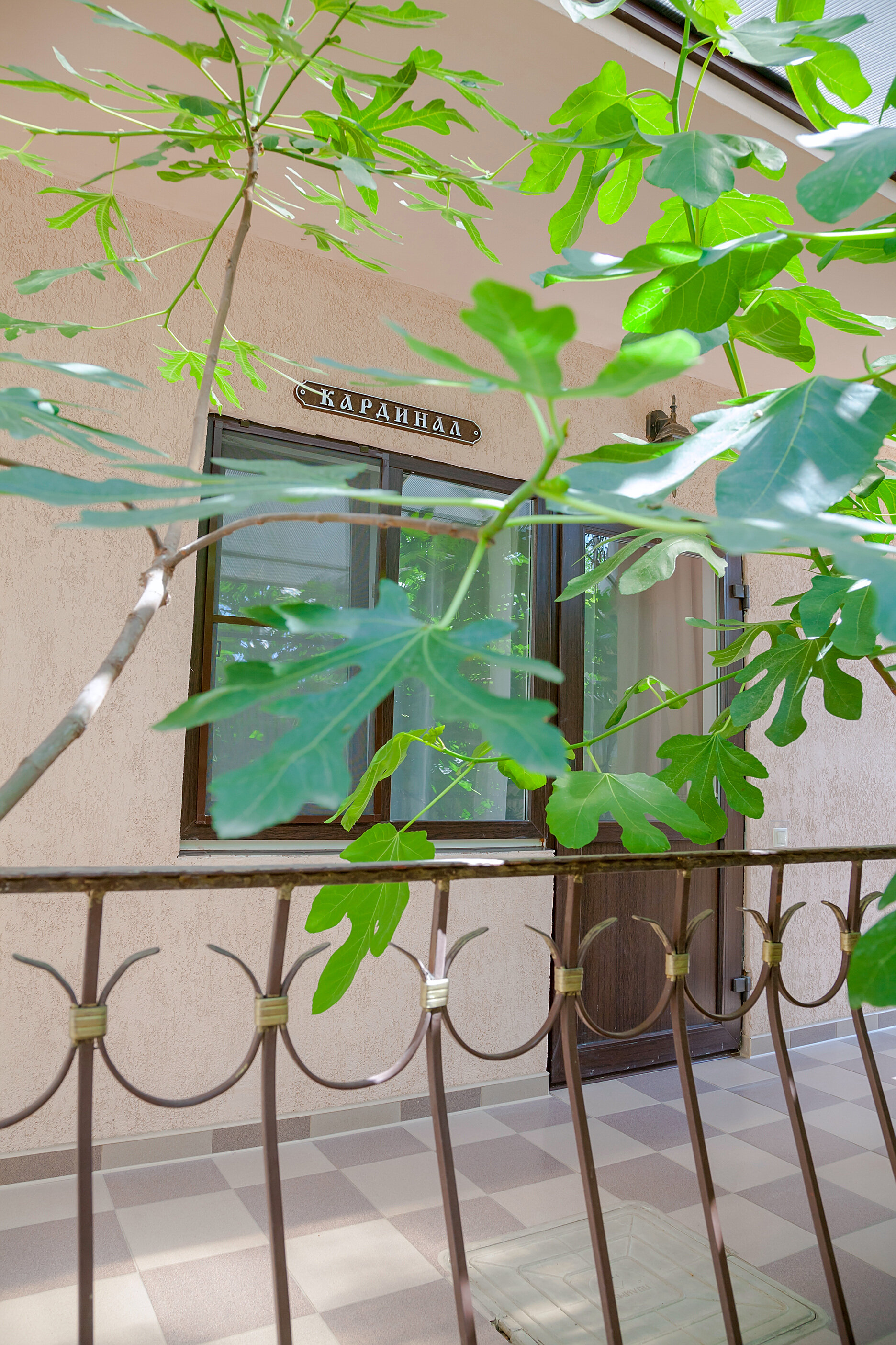 Фото Виноградная лестница