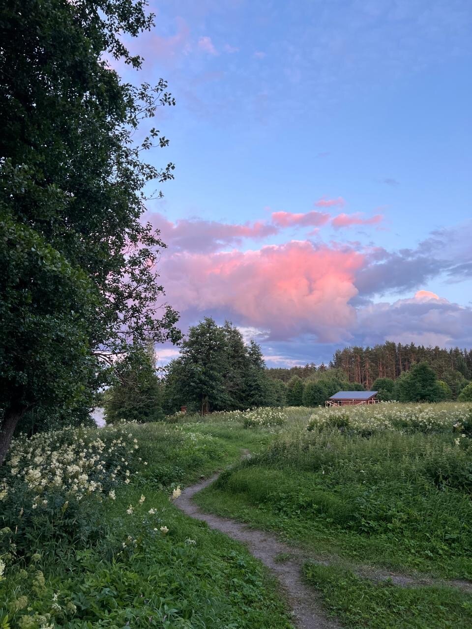 Фото Ладога Хоум - на берегу озера