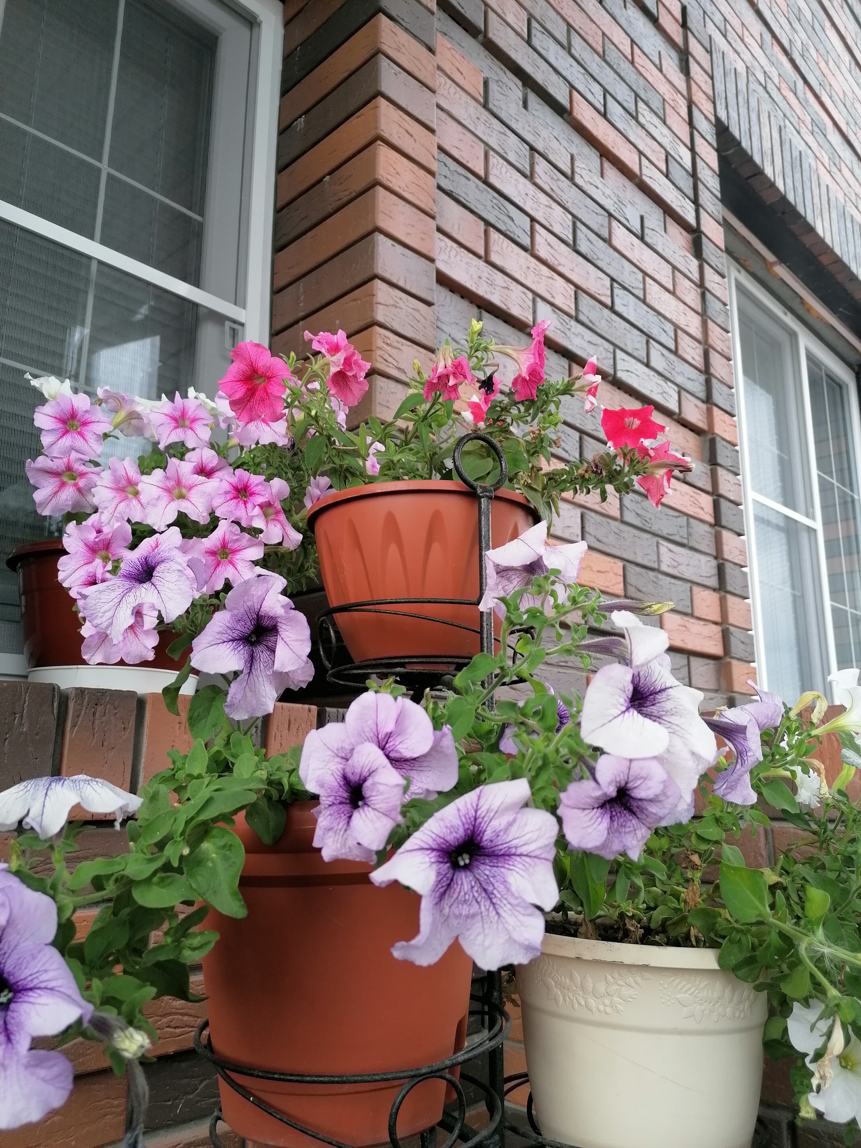 Фото Тихий Дон