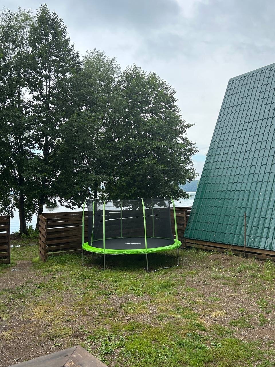 Фото Облепиха