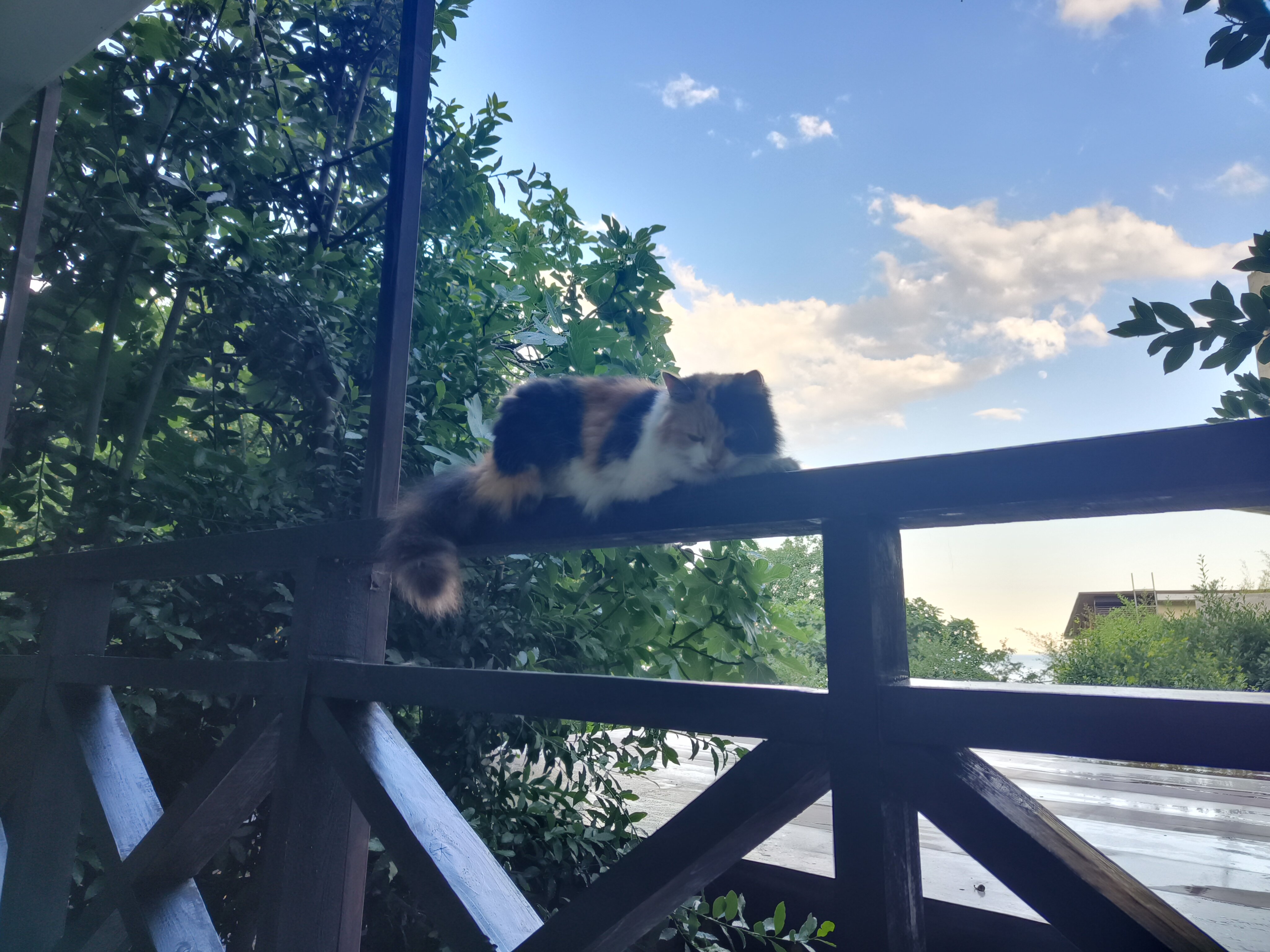 Фото Усадьба Инжир