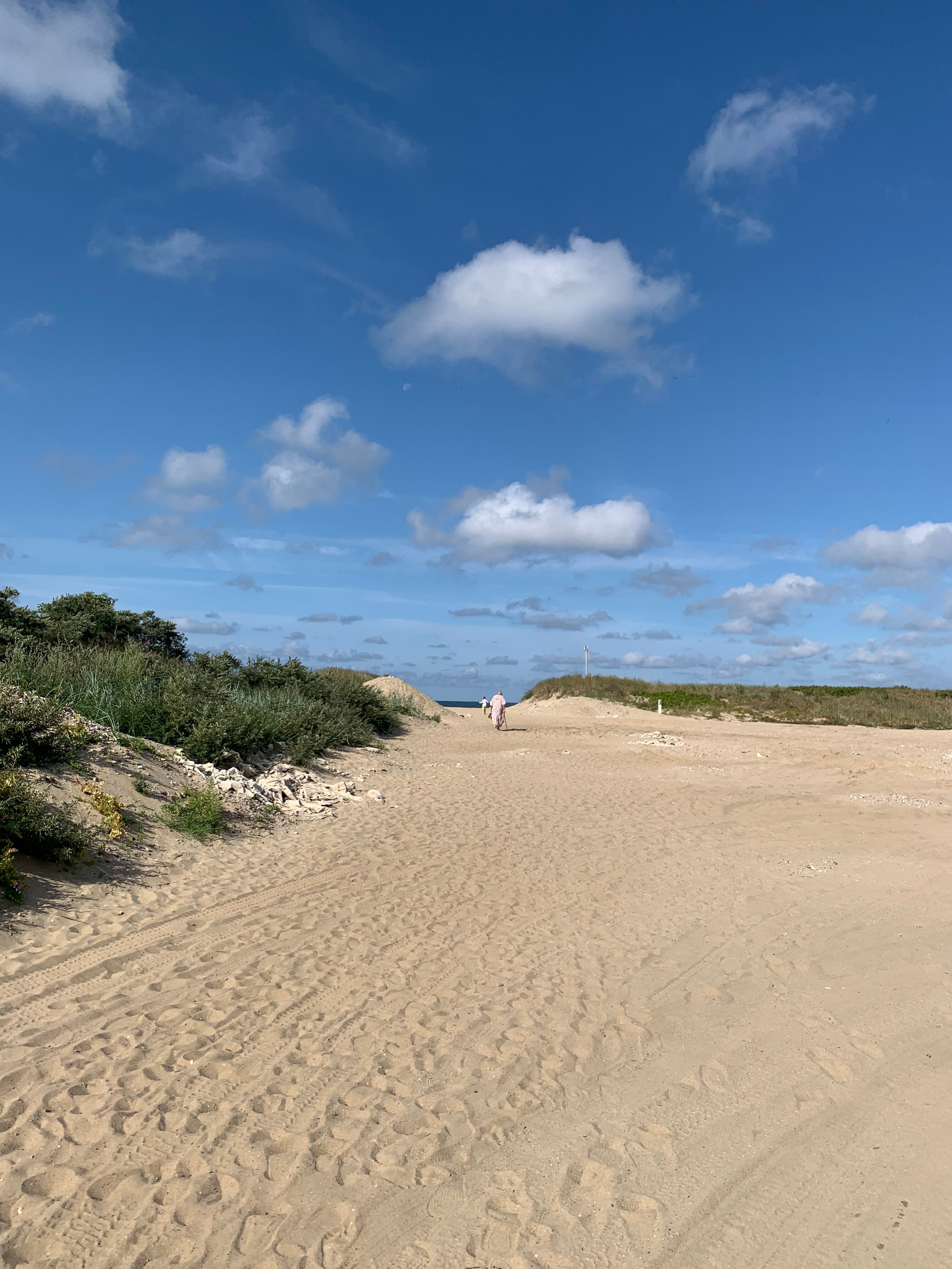 Фото Янтарная Корона