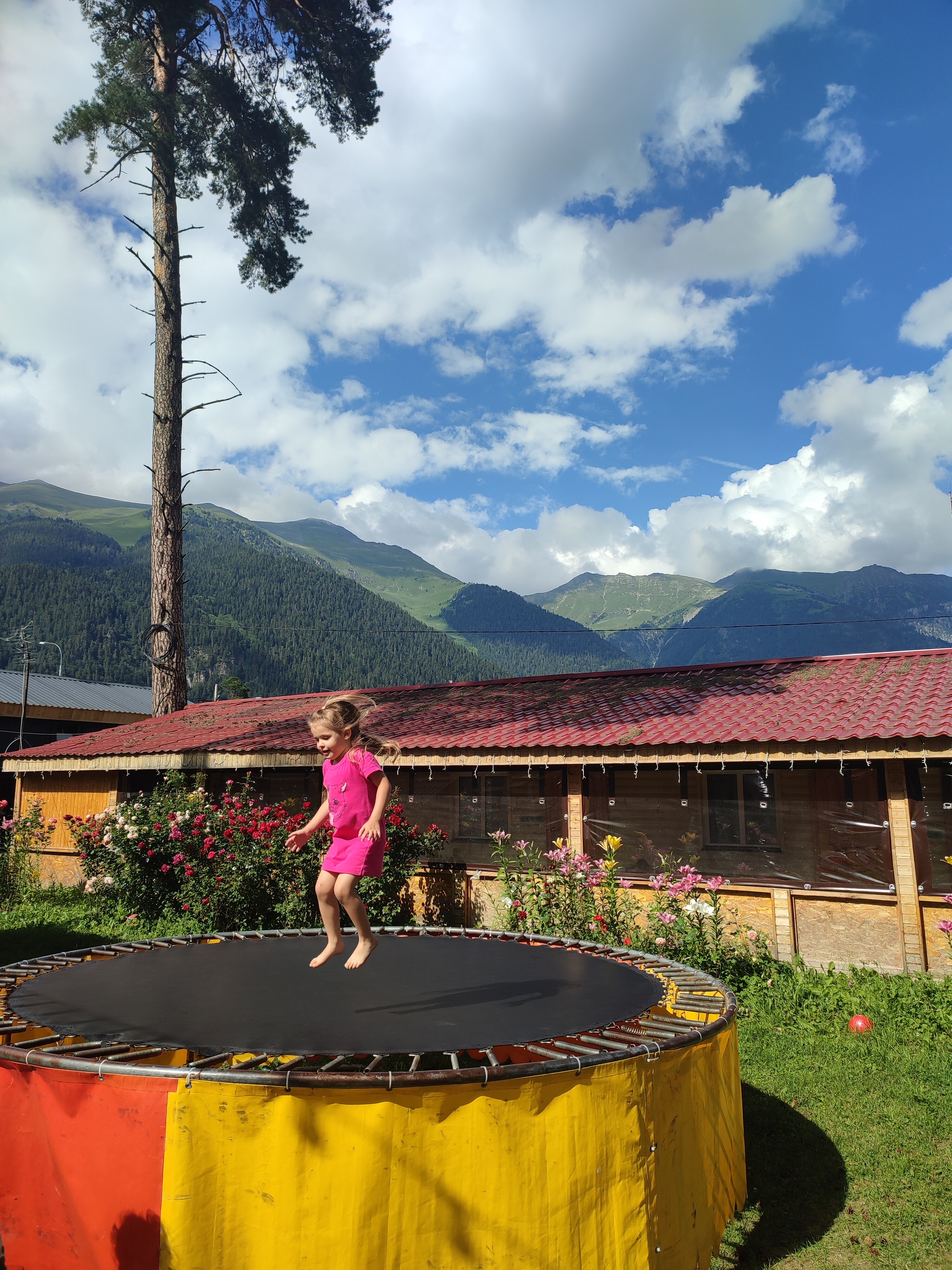 Фото Сосновый рай