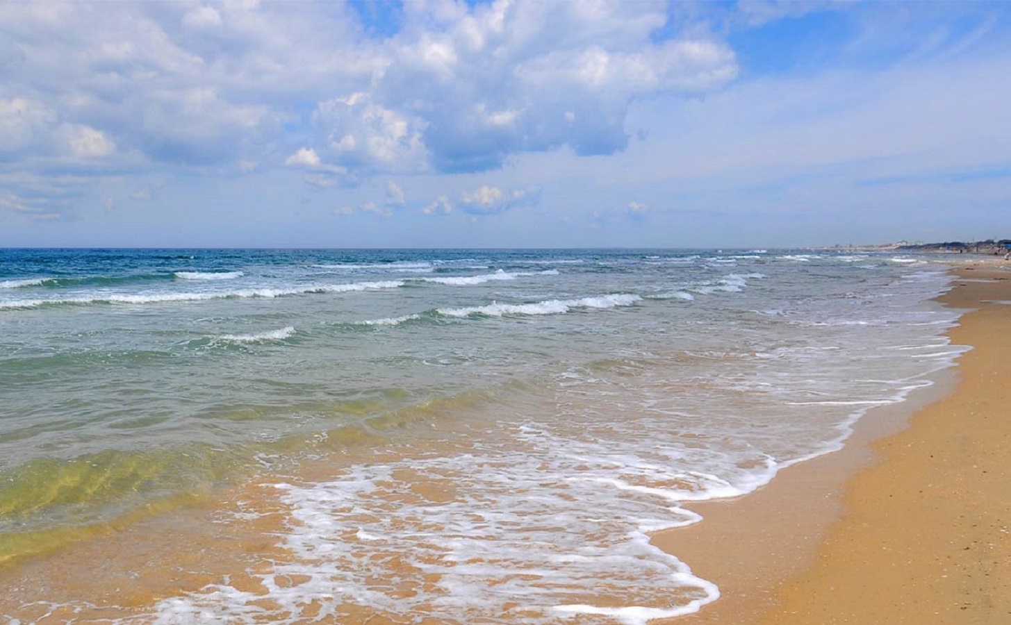 Фото Галант