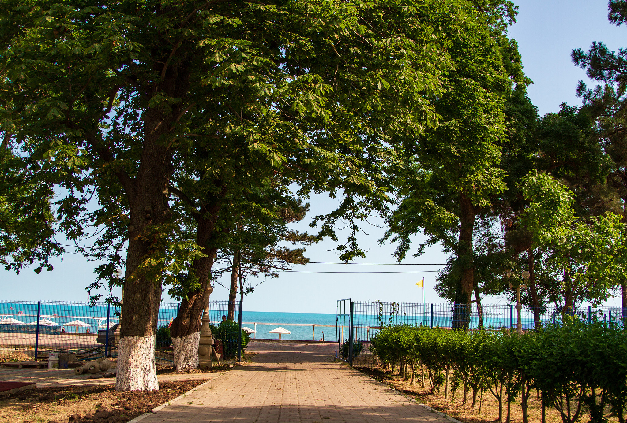 Фото Парк-отель Джубга