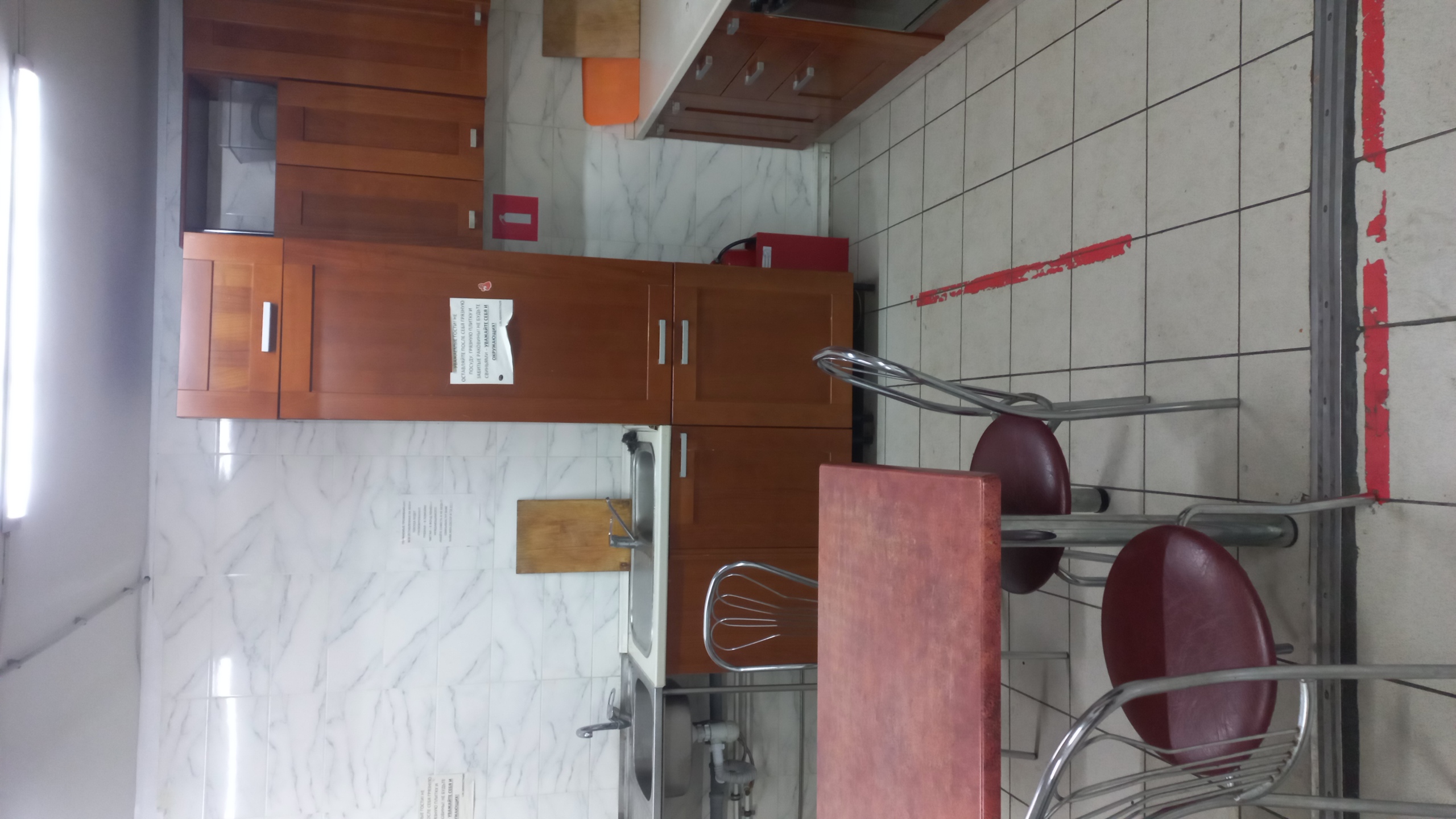 Фото Вежливый лось на Юго-Восточной