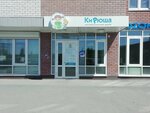Kiryusha (Kremlyovskaya Street, 112к1), speech therapists