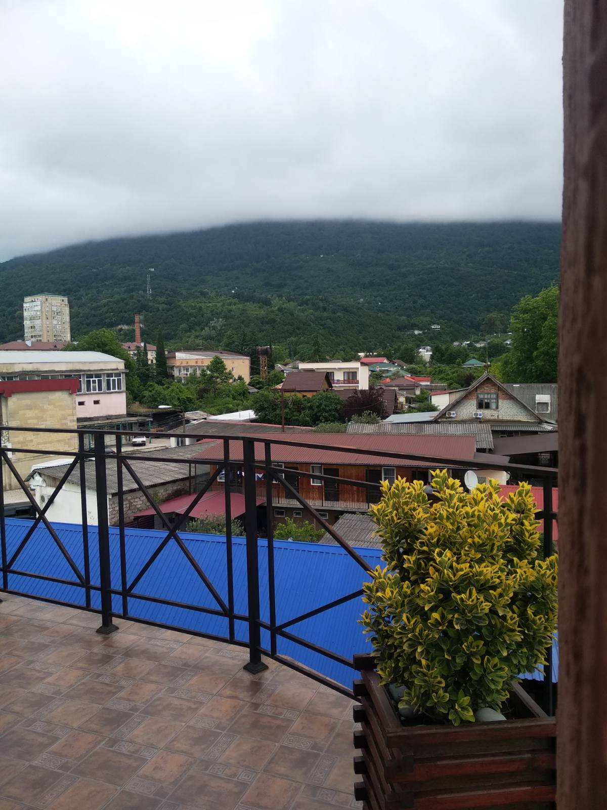 Фото Династия