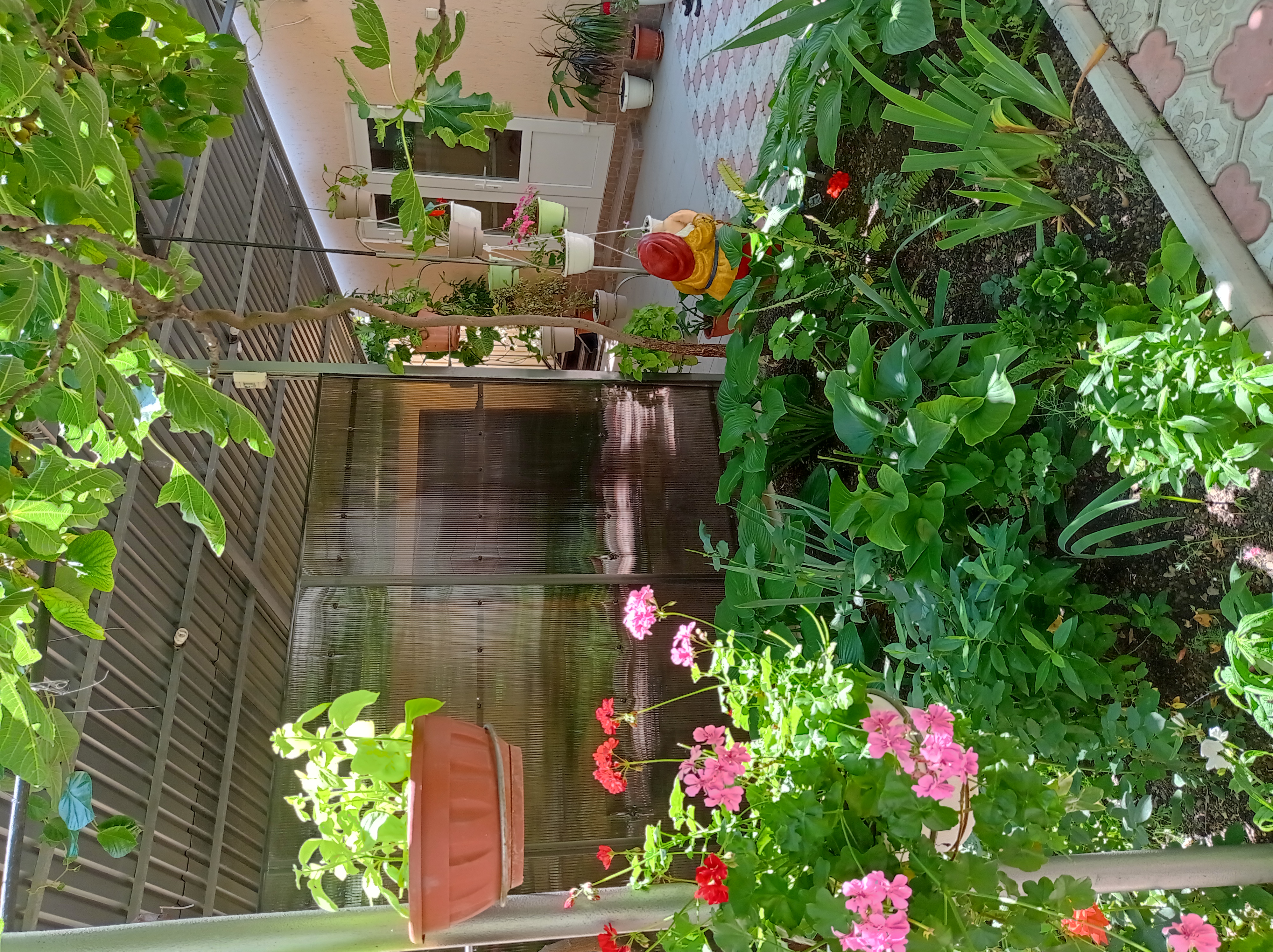 Фото У Татьяны