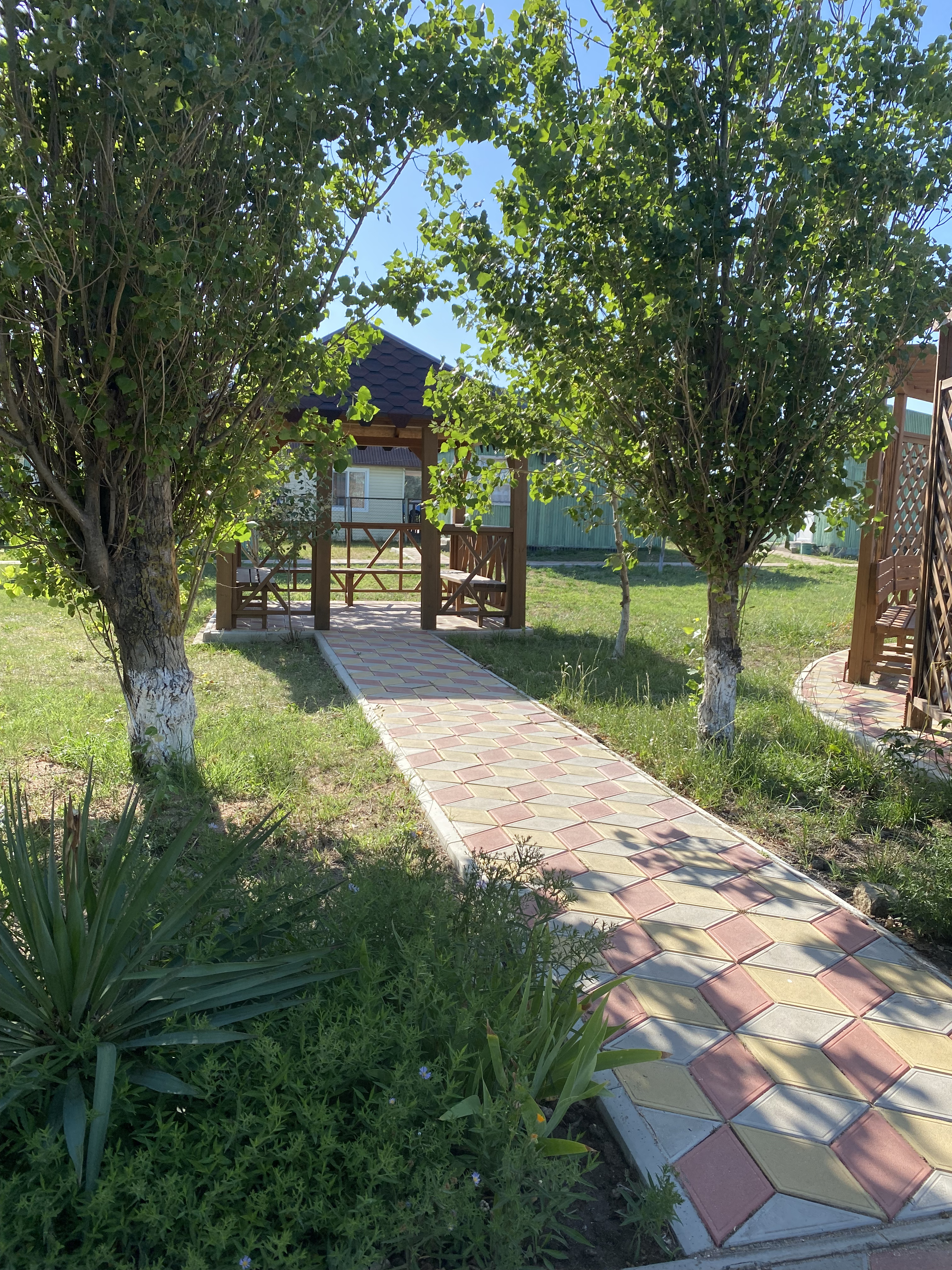 Фото Форвард