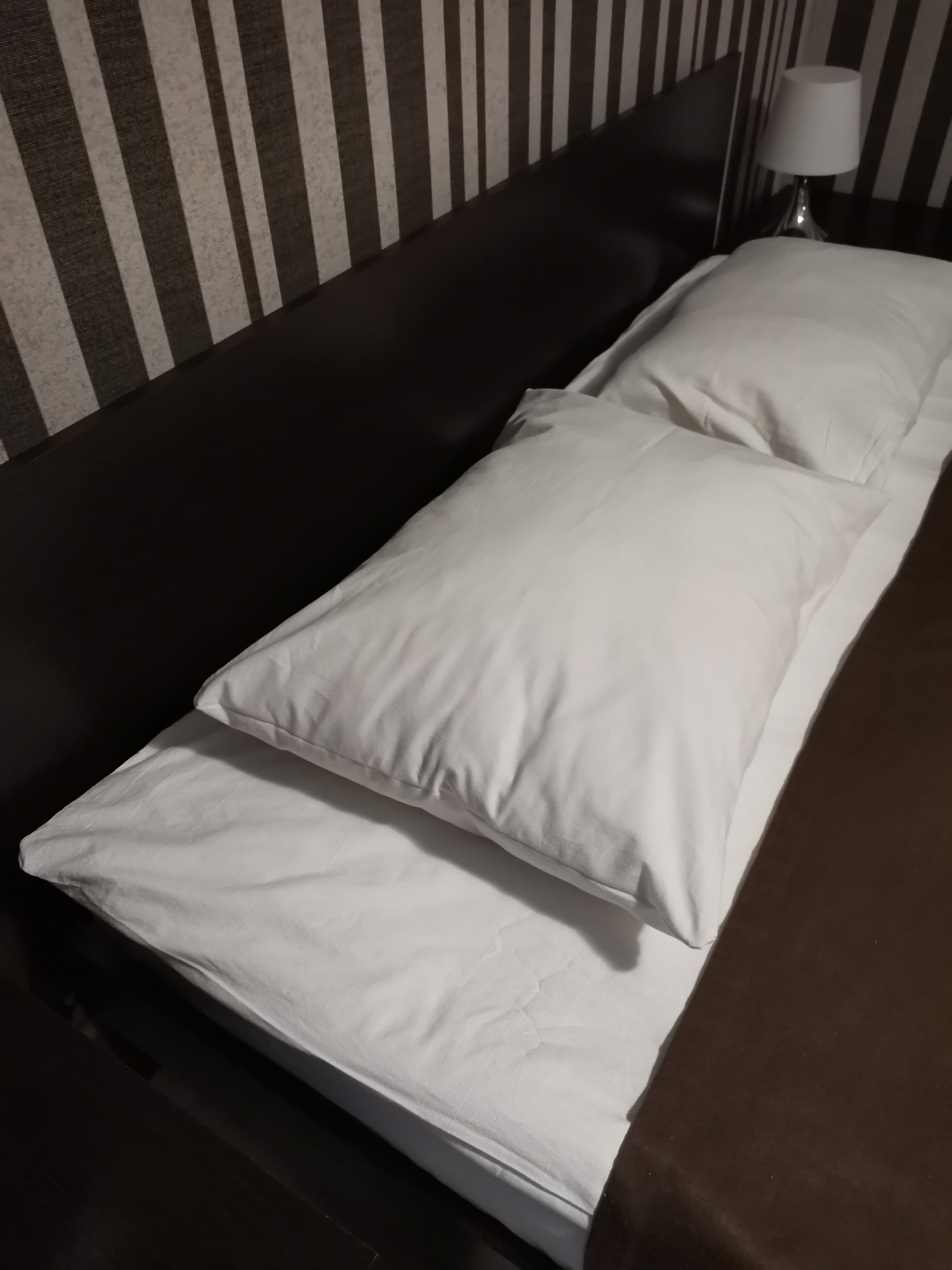 Фото Базилик