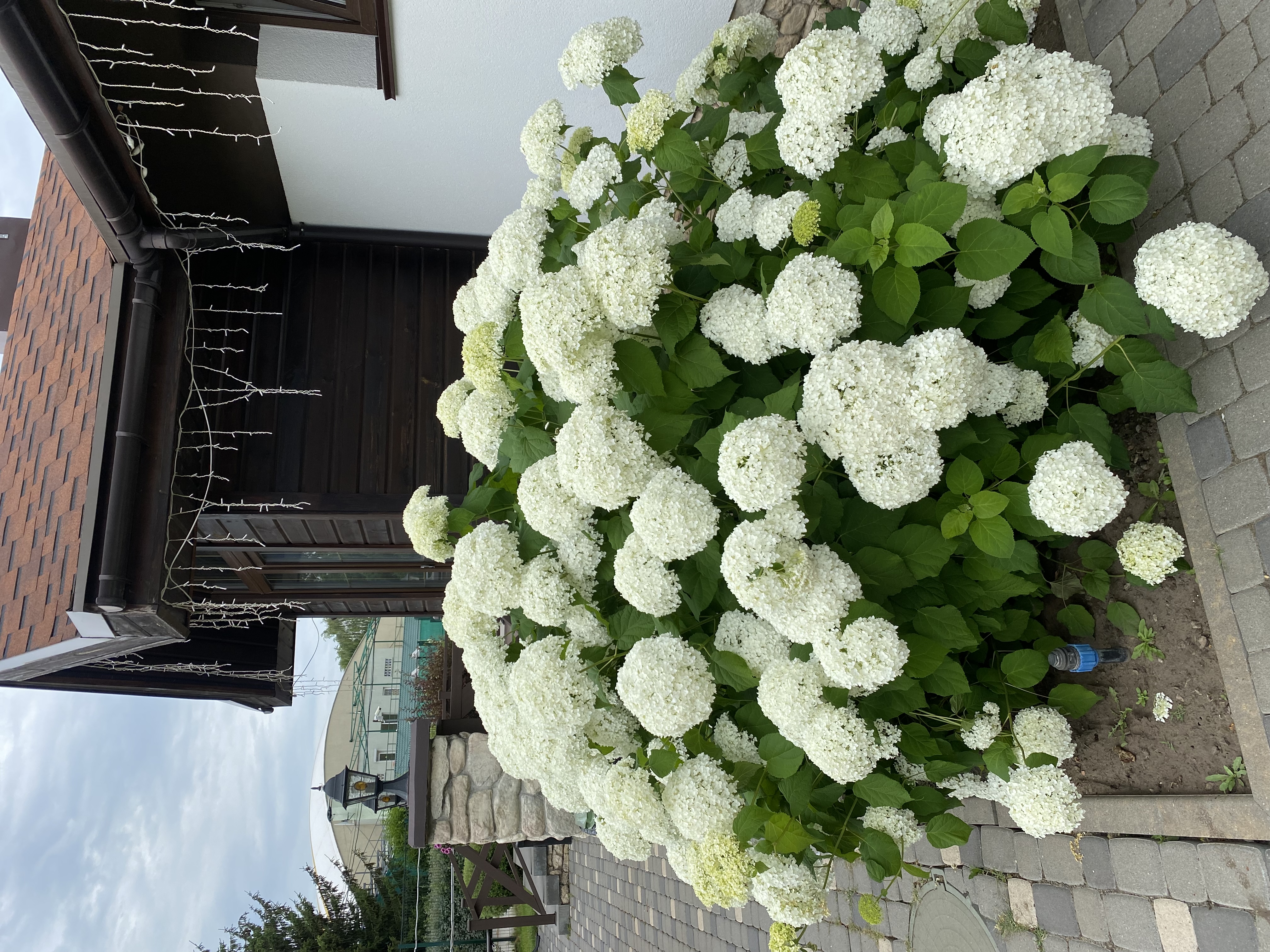 Фото Альпен Парк