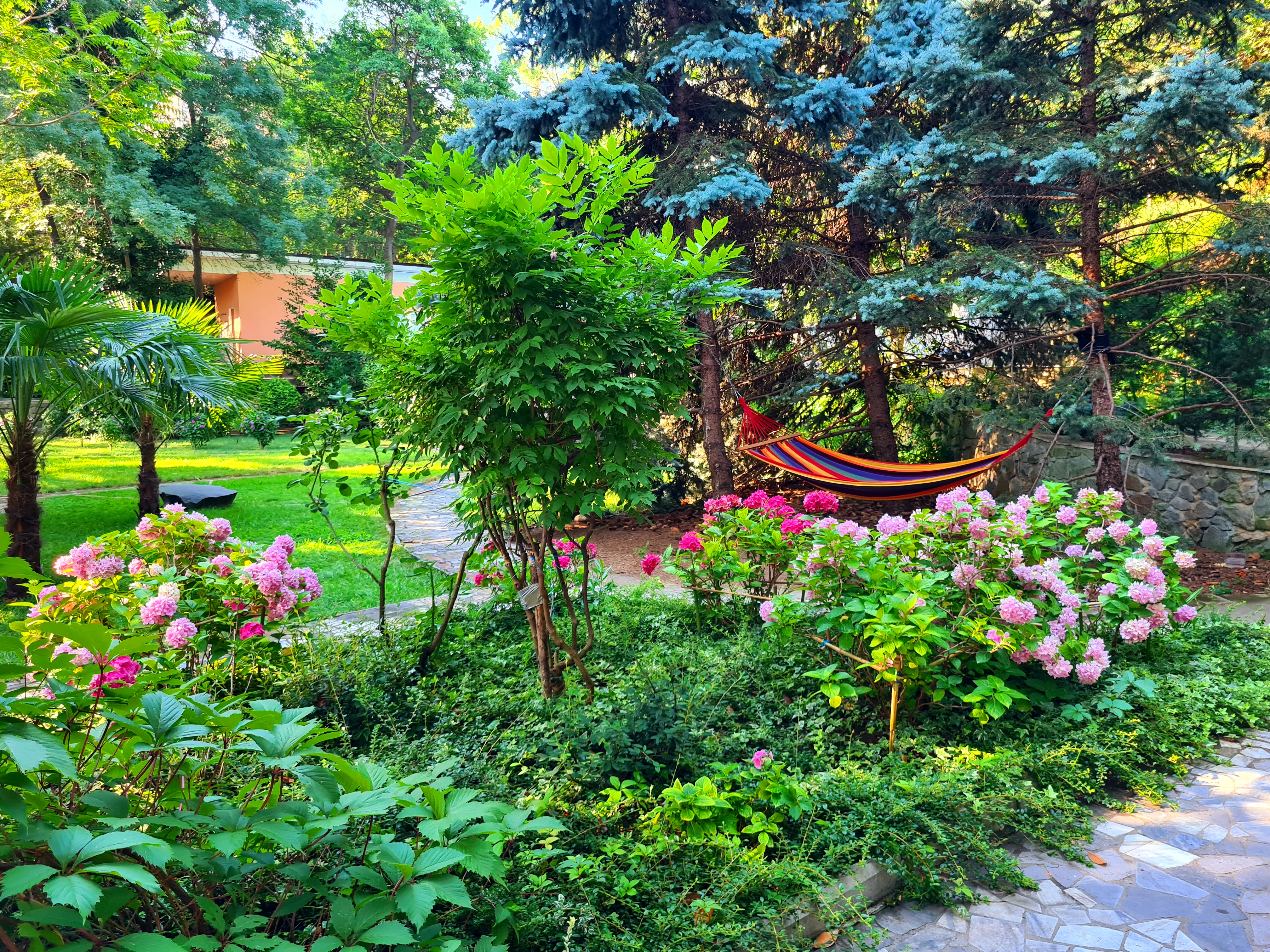 Фото Муссон