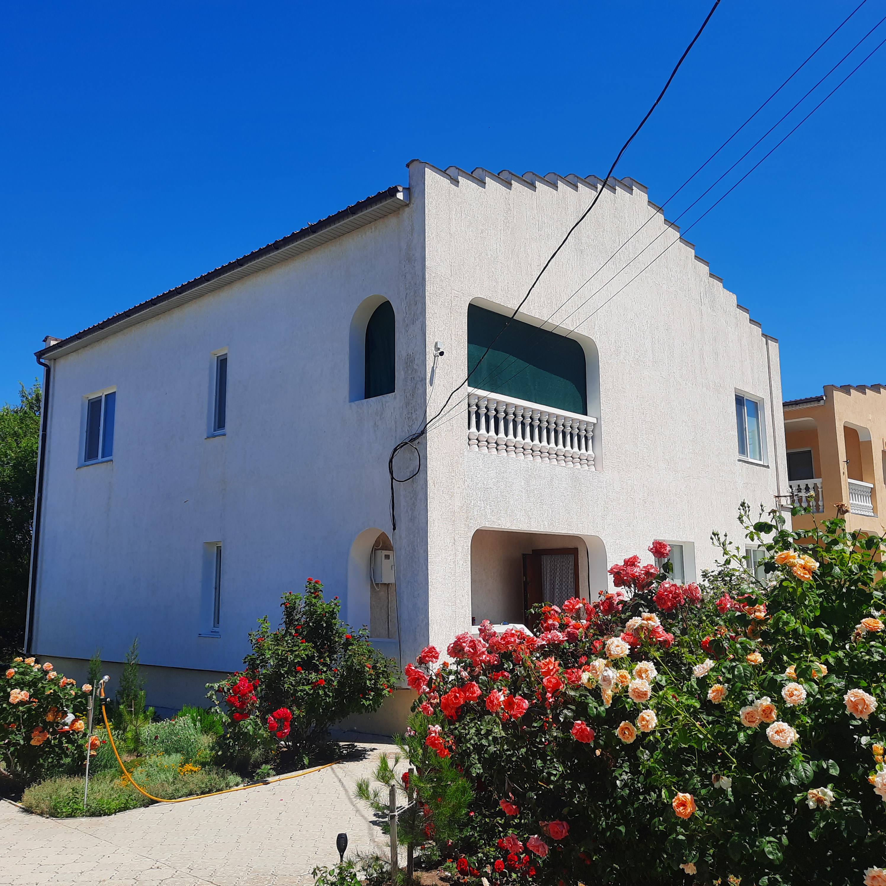 Фото Клевер