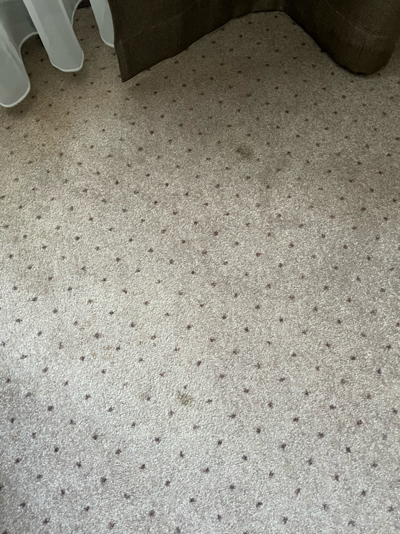 Фото Онегин