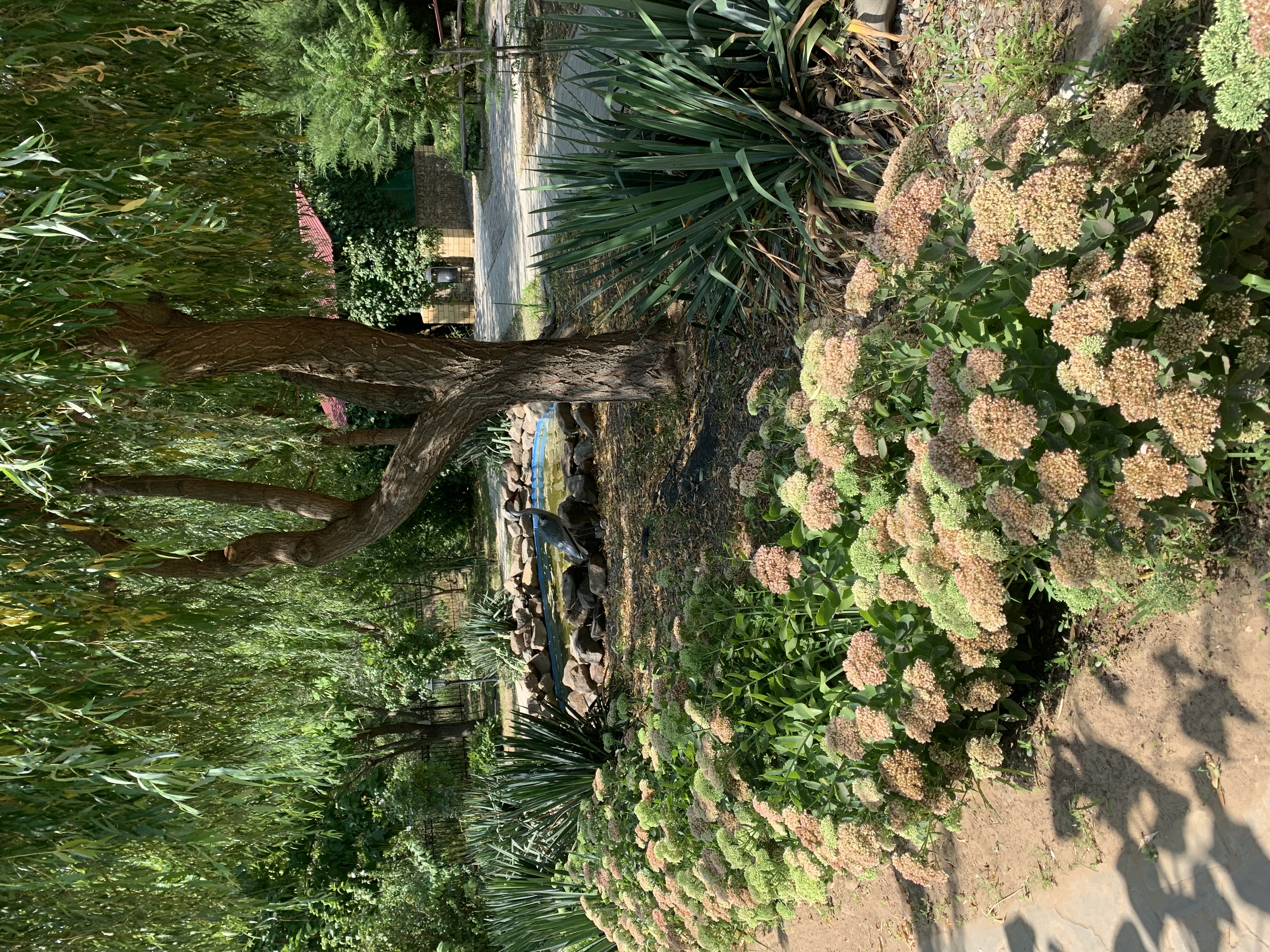 Фото Углянское