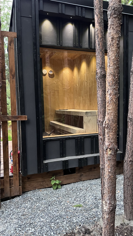 Фото Хворост