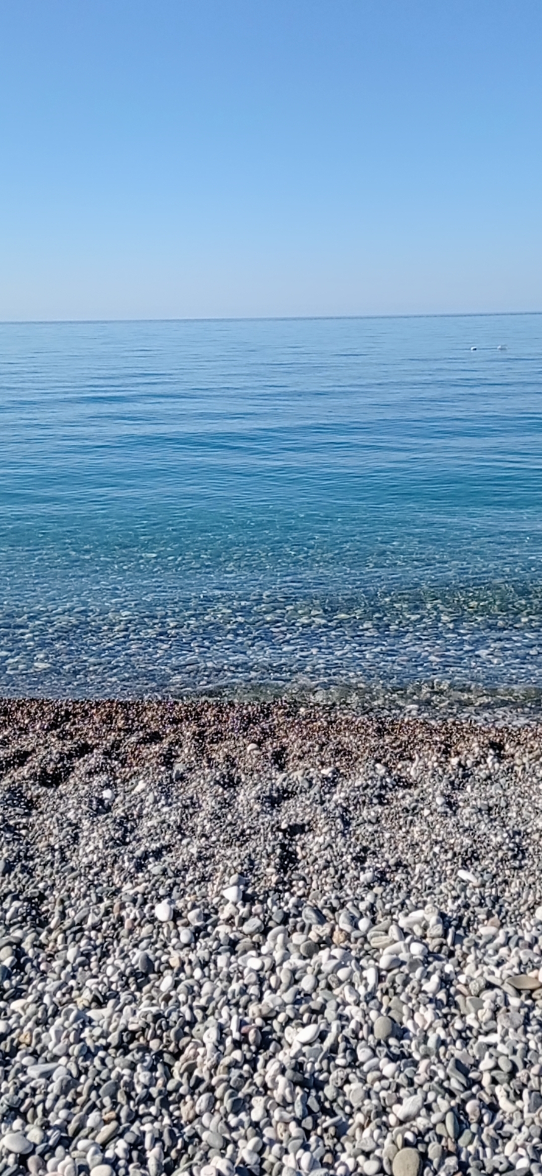 Фото Пансионат Солнечный летний