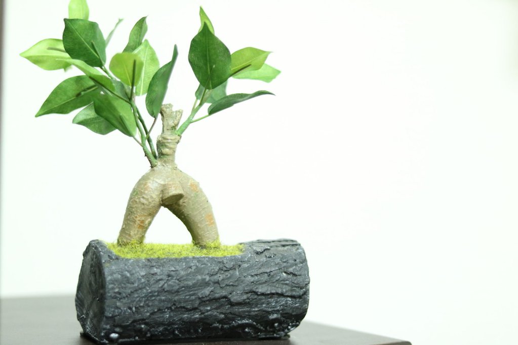 Фото Hg Cozy Hotel № 2