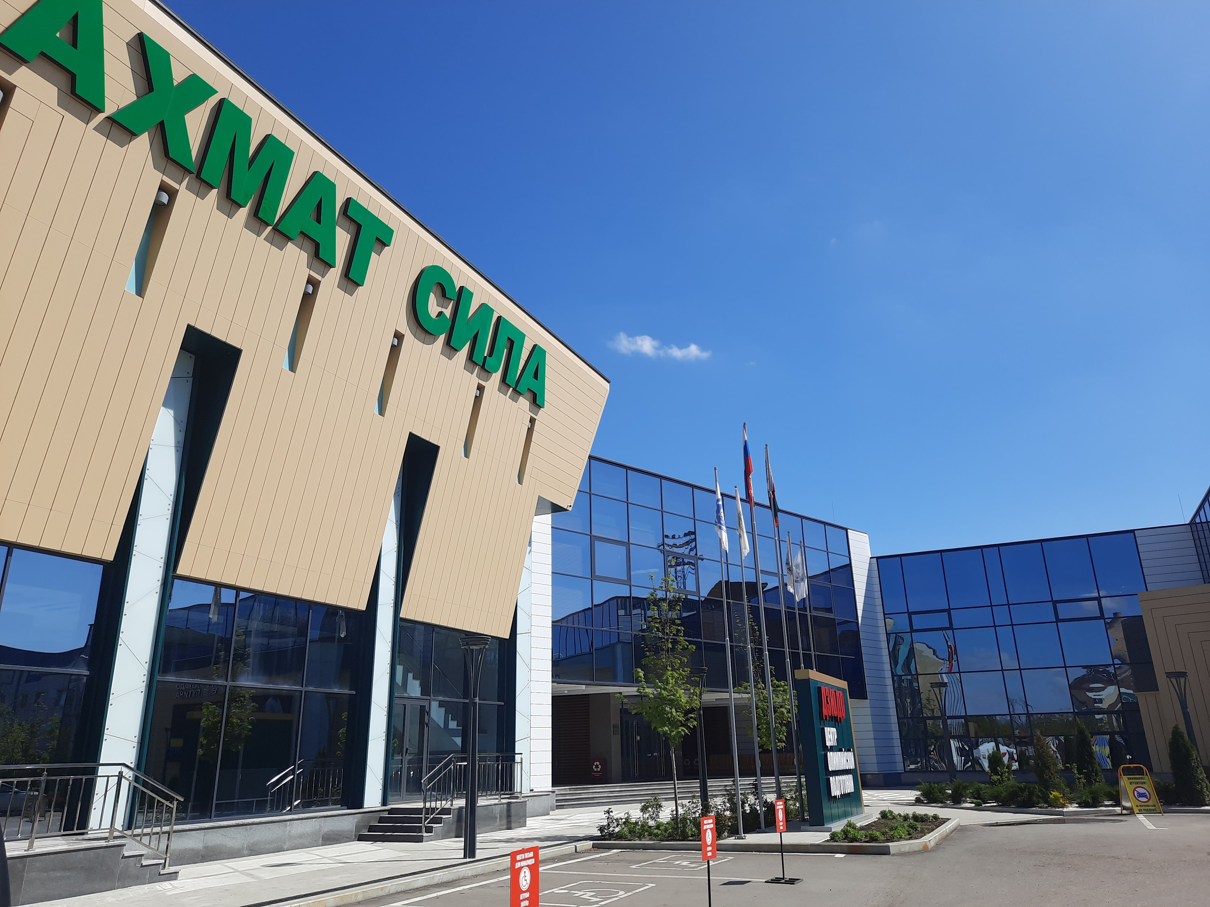 Фото Эдельвейс