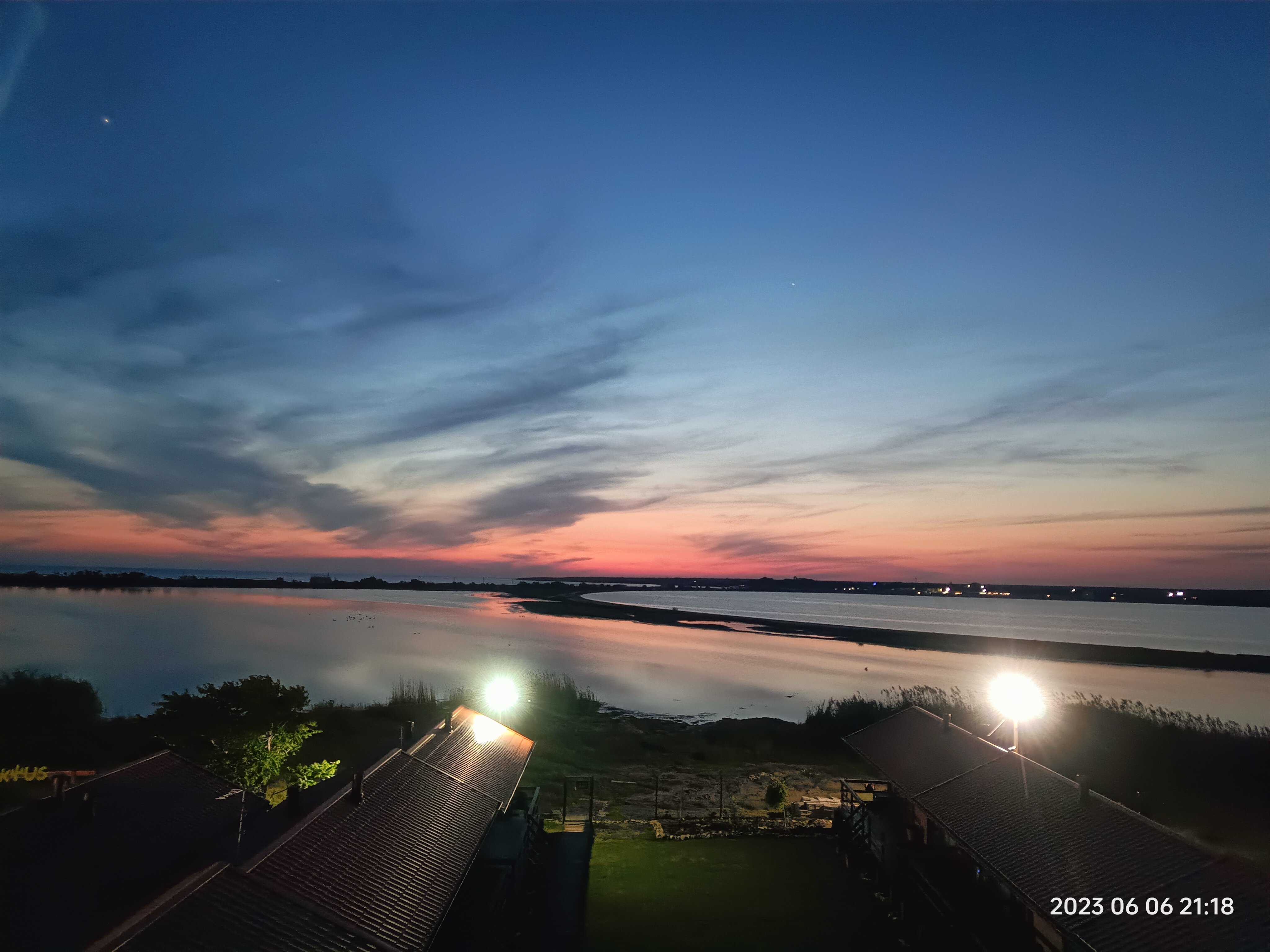 Фото Кактус