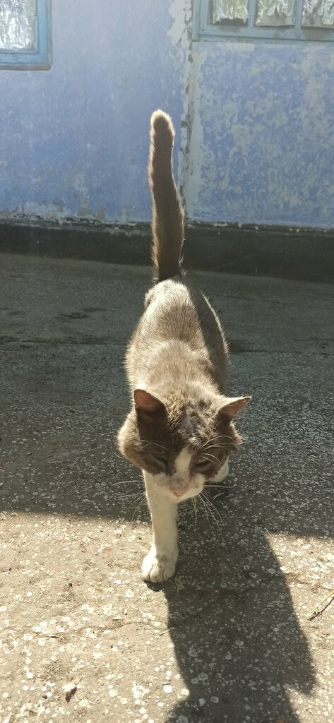 Veterinary clinic Первомайский районный ветеринарный лечебно-профилактический центр, Republic of Crimea, photo