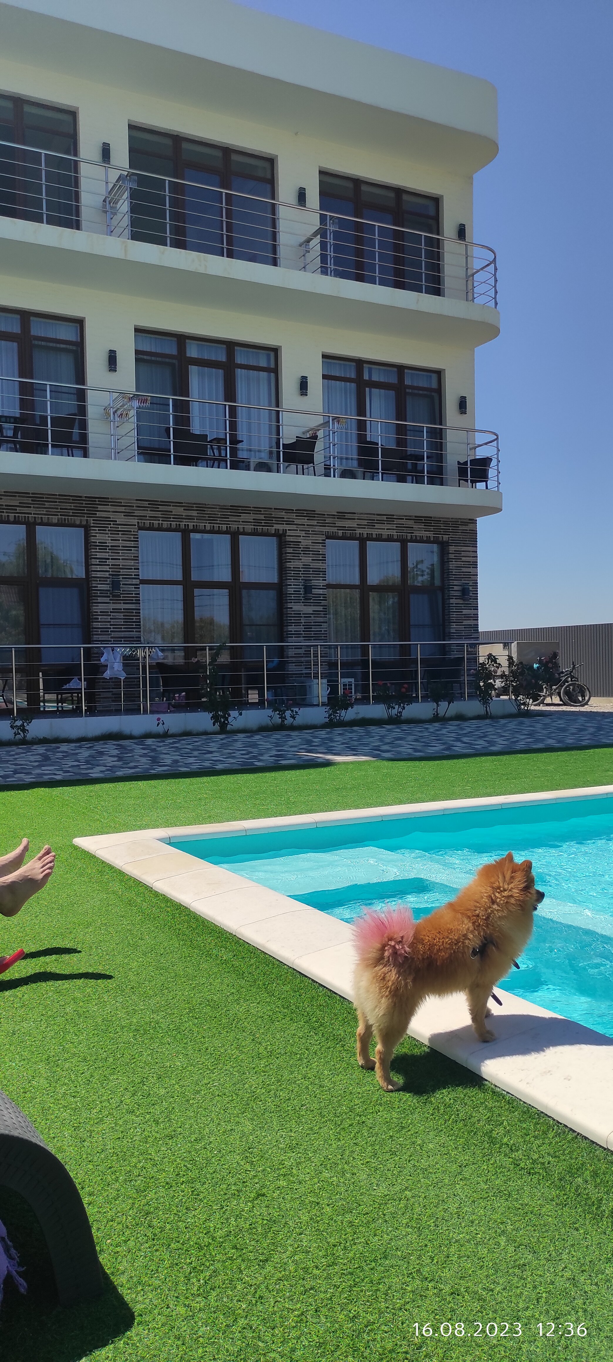 Фото Никос плаза