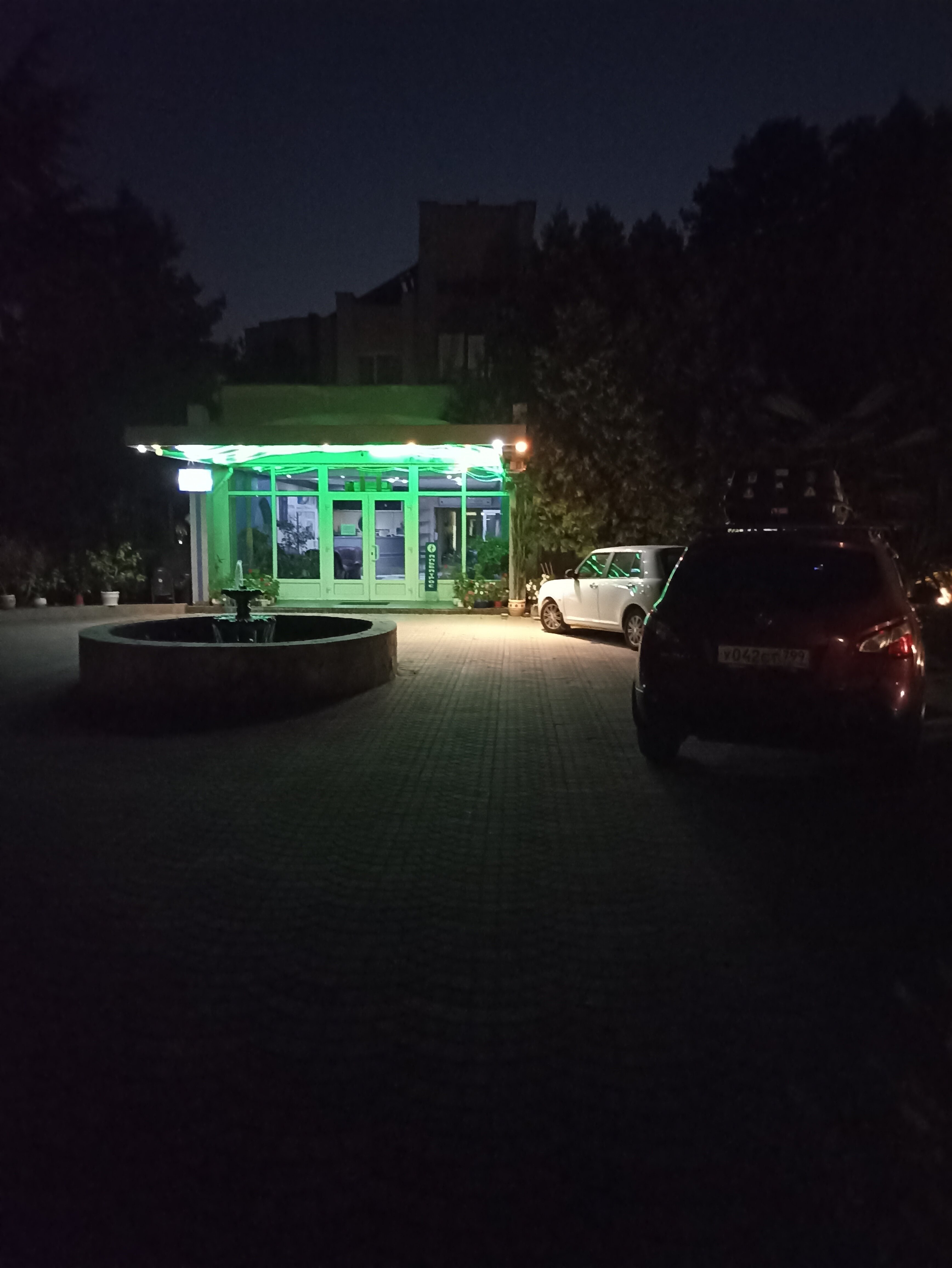 Фото Альбатрос