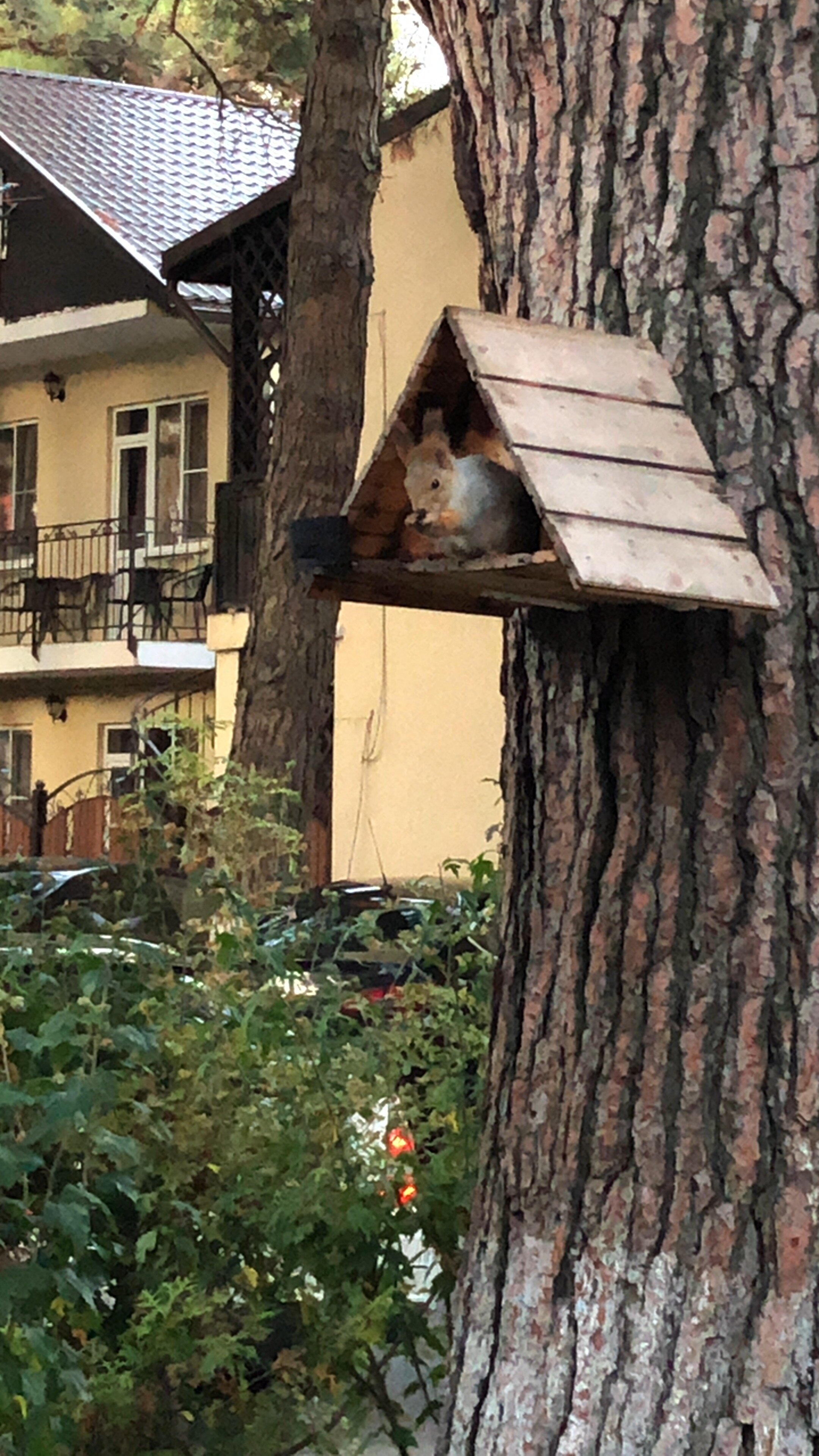 Фото Golden Kids