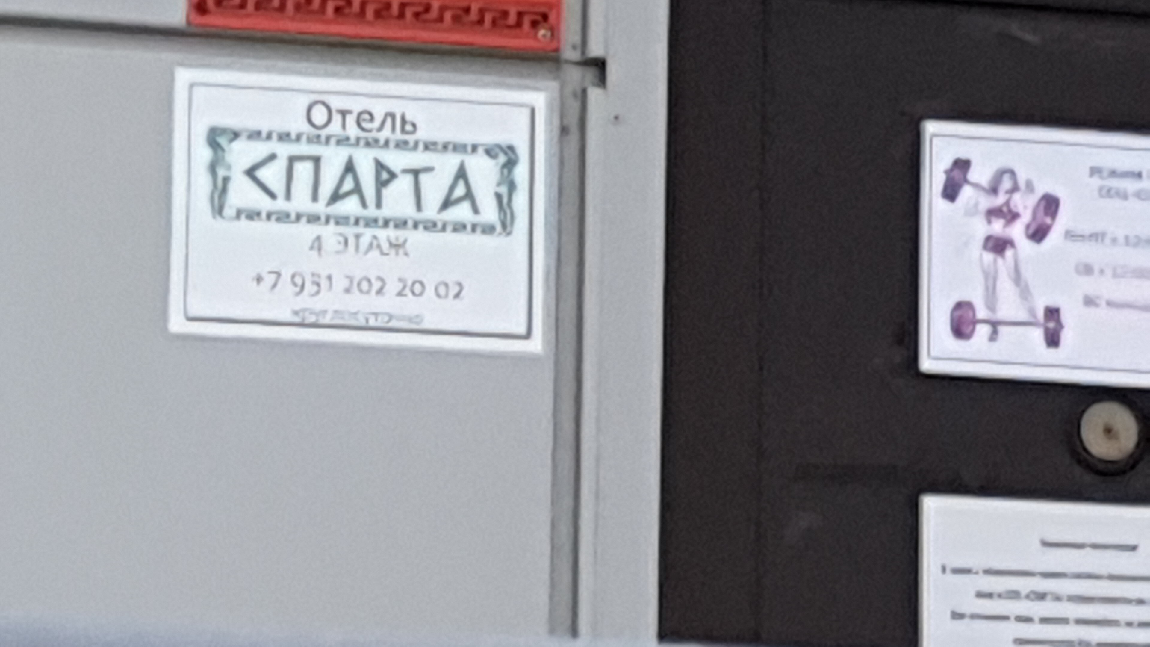 Фото Спарта