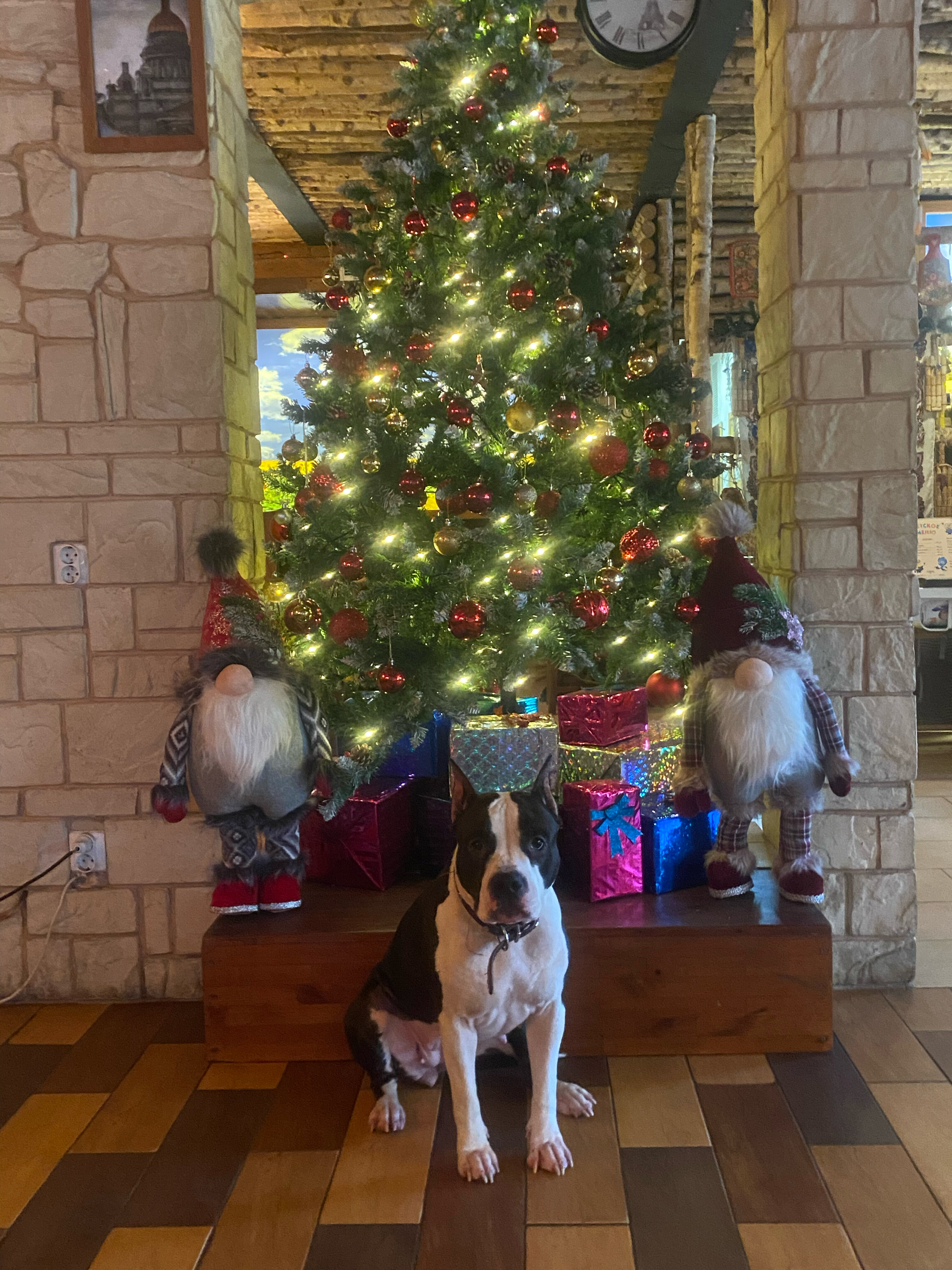 Фото Хуторок