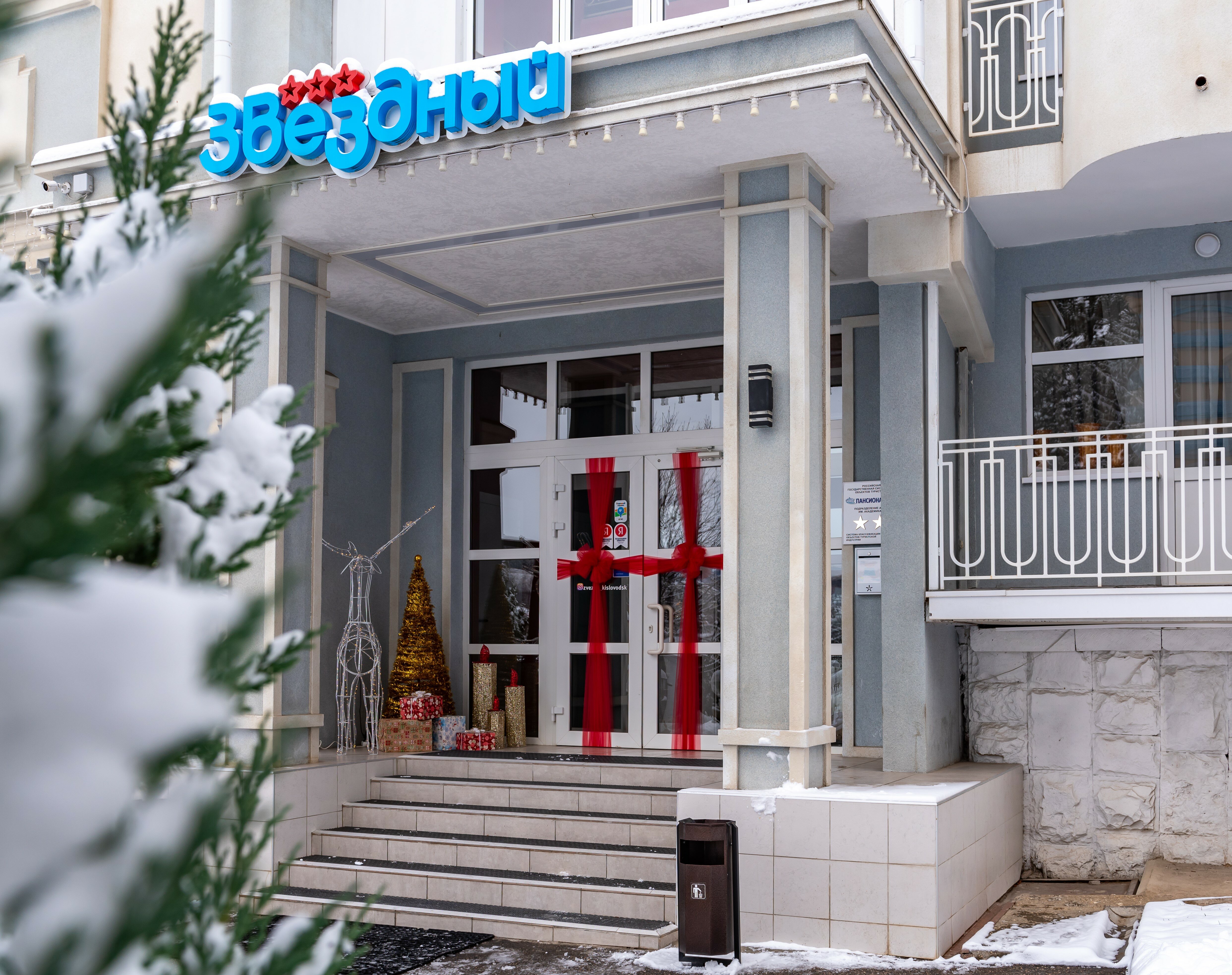 Фото Звездный