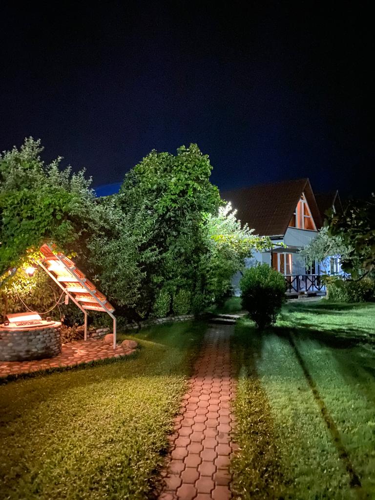 Фото Салангана