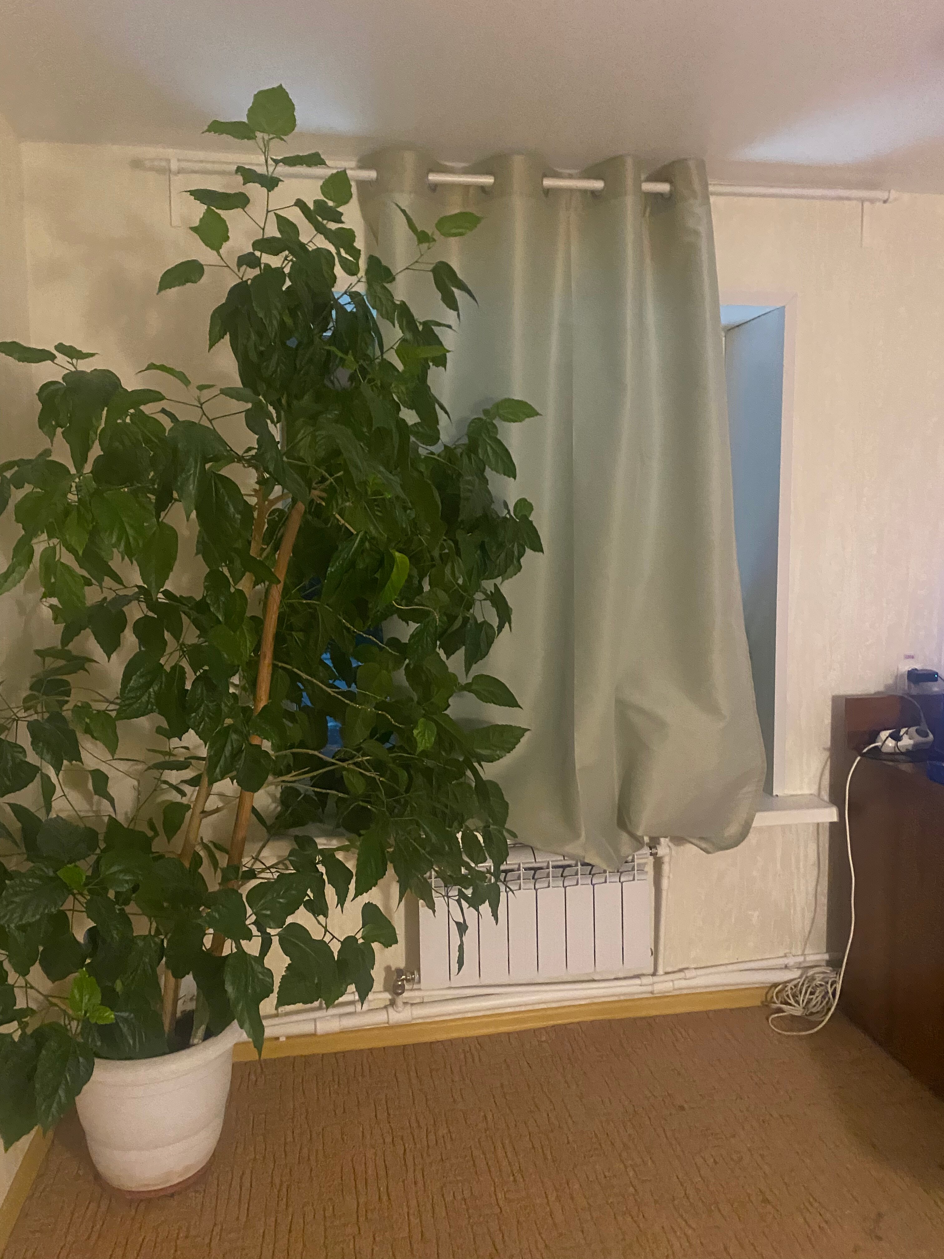 Фото Путник