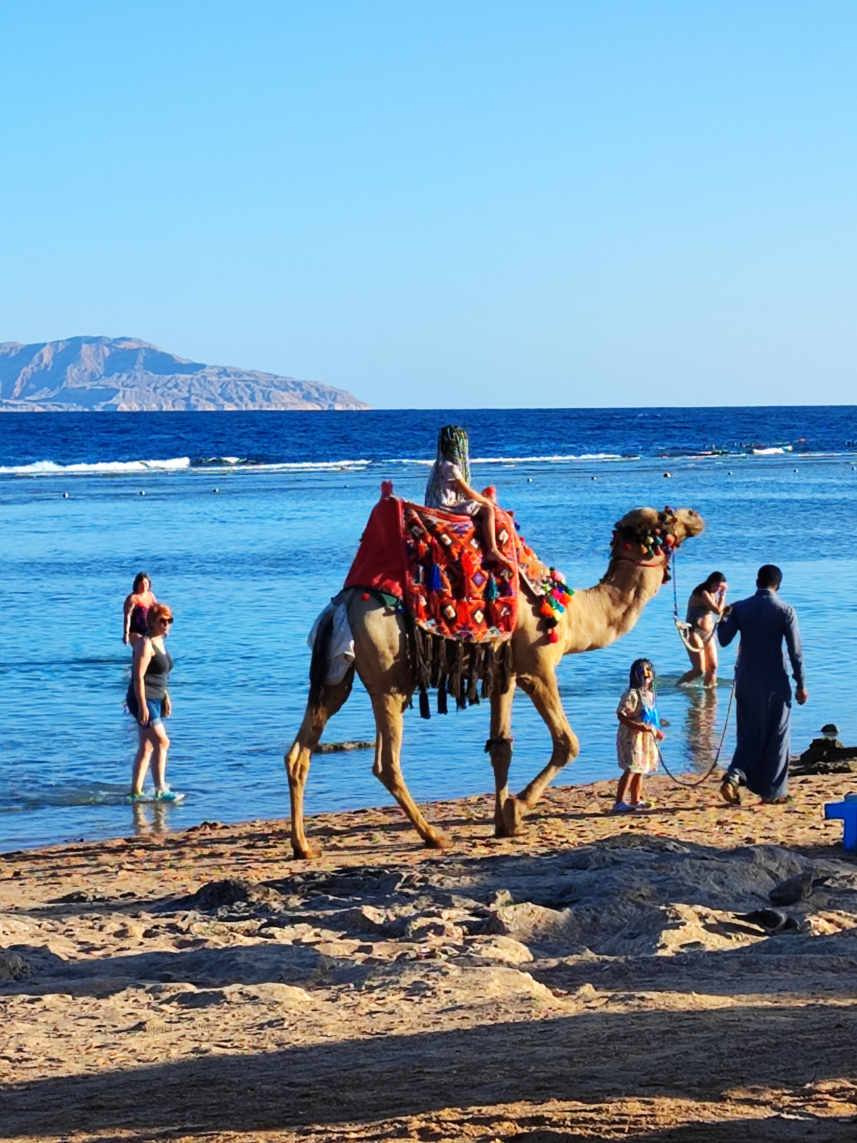 Фото Rehana Royal Beach Resort - Aquapark & SPA