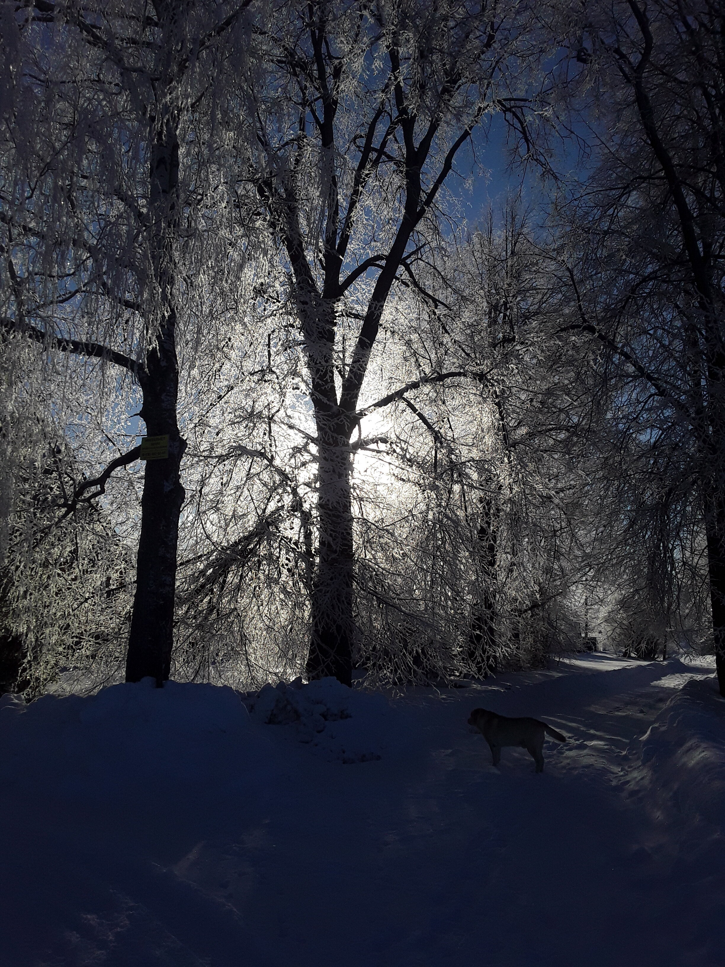 Фото На Вазузу