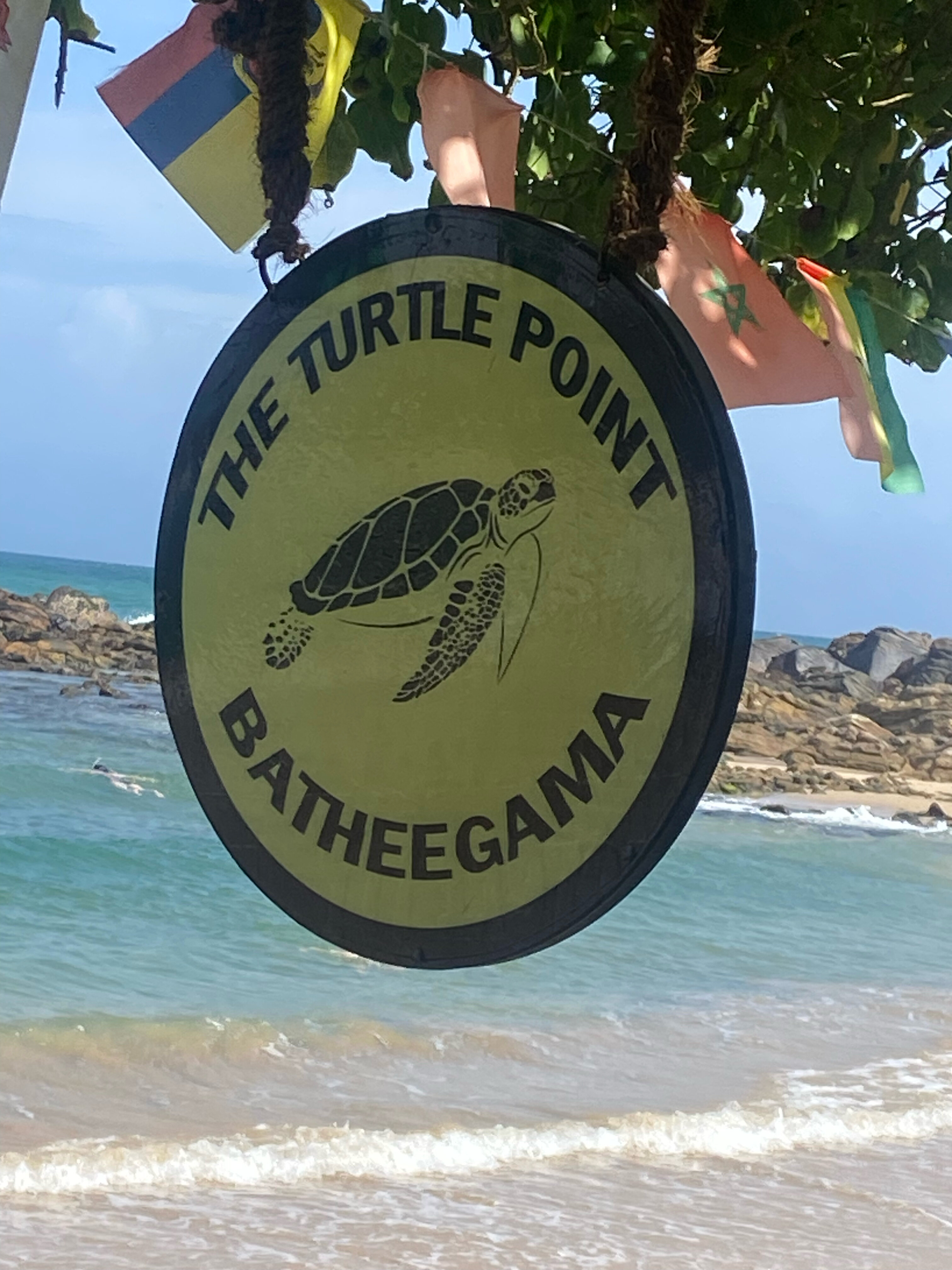 Фото Dickwella Resort and SPA