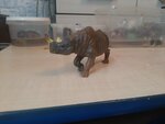 Odd-toed Ungulates (Bolshaya Gruzinskaya Street, 1с32) ، قفص حيوانات
