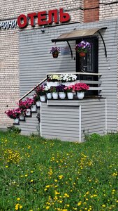 Карелинн