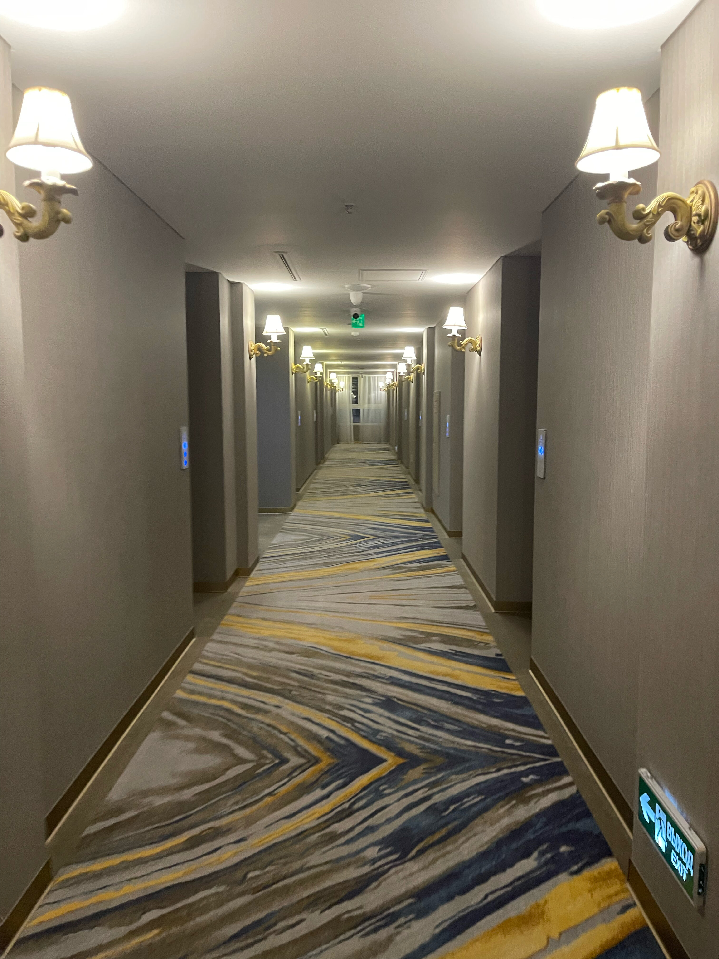 Фото Мега Палас