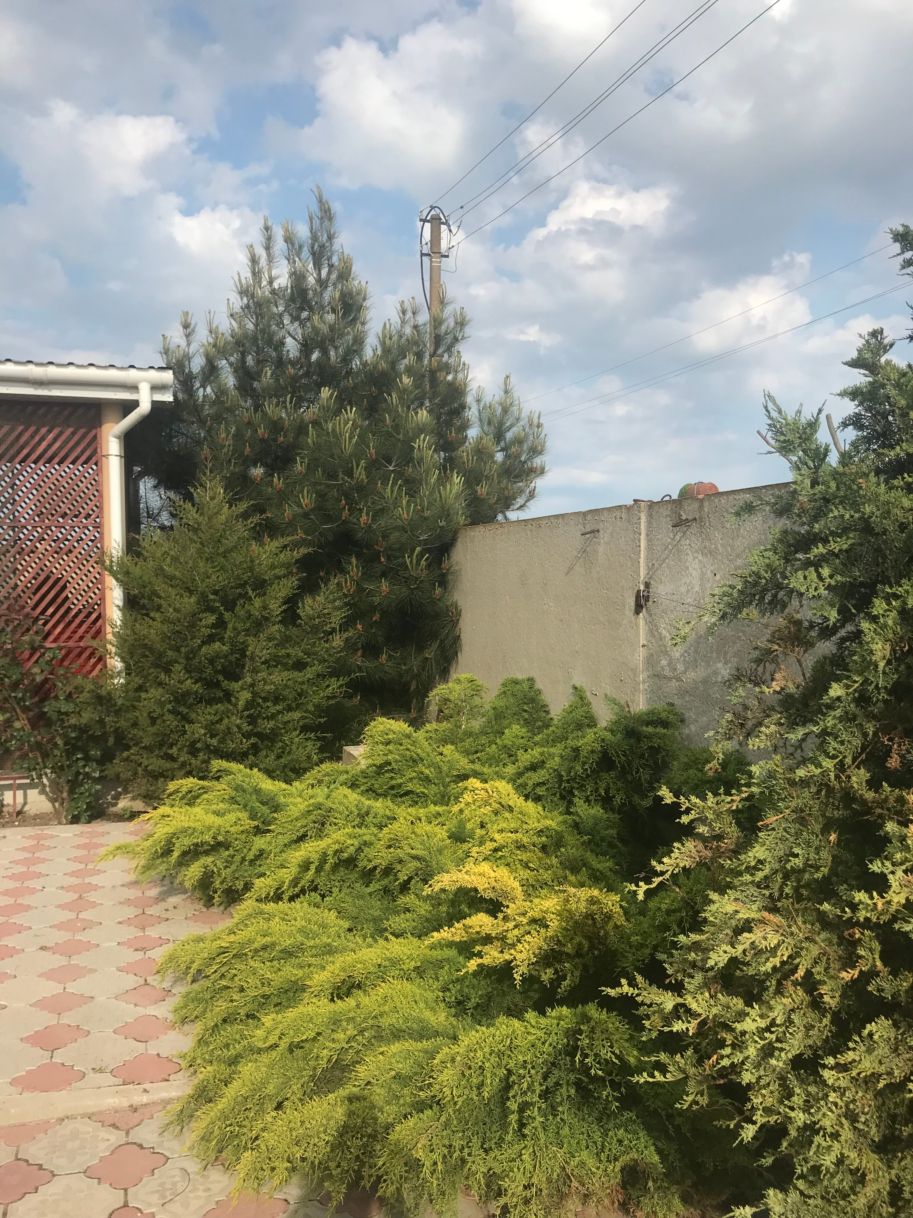 Фото Райский отдых